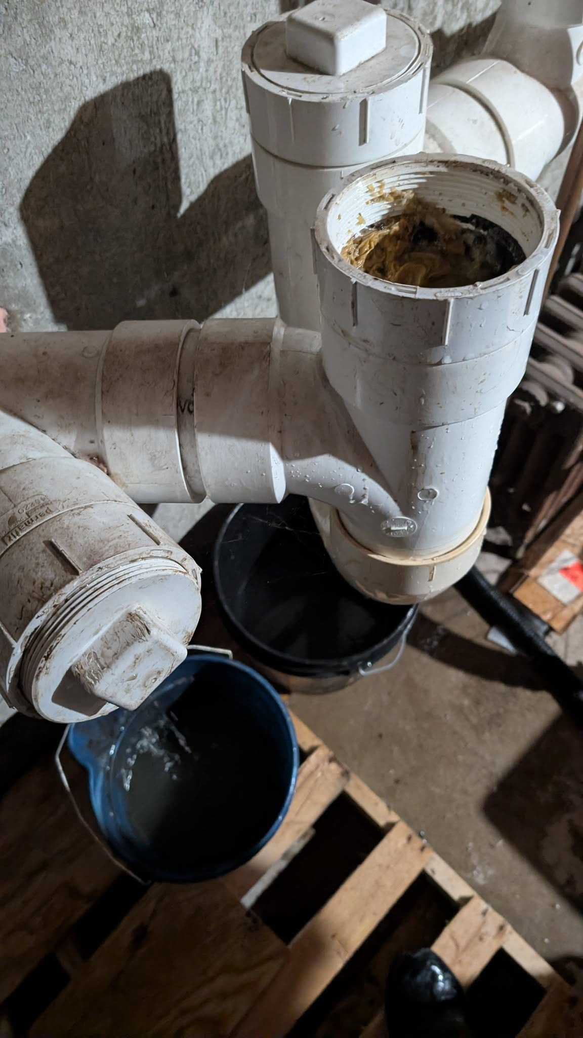 Dirty white PVC pipes and fittings in a basement or utility area, with a black bucket underneath, some water in a blue bucket, and wooden pallets on the floor.