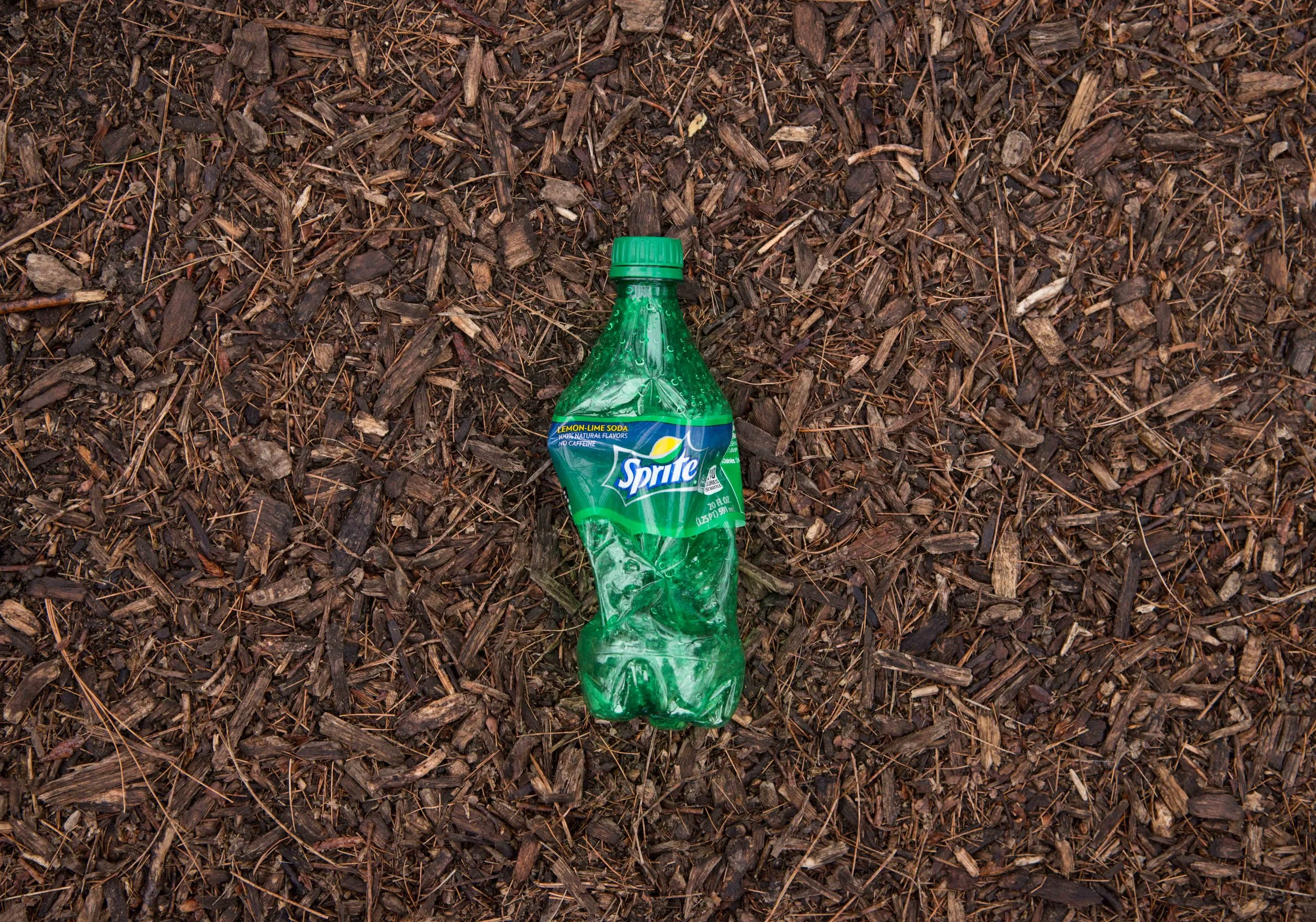 Cleaning the streets