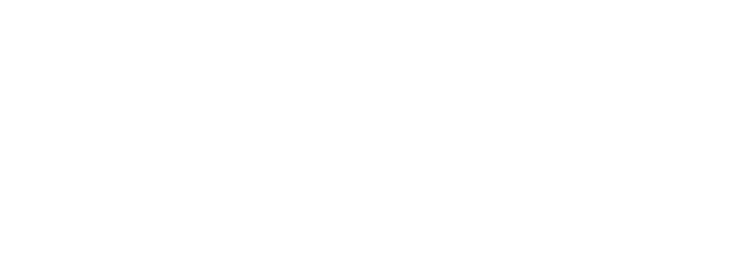 AIVA Network logo in white