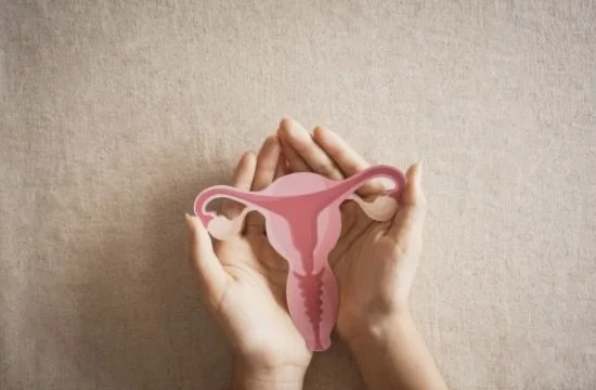 Testosteron bei Frauen    - Der unterschätzte Faktor in den Wechseljahren