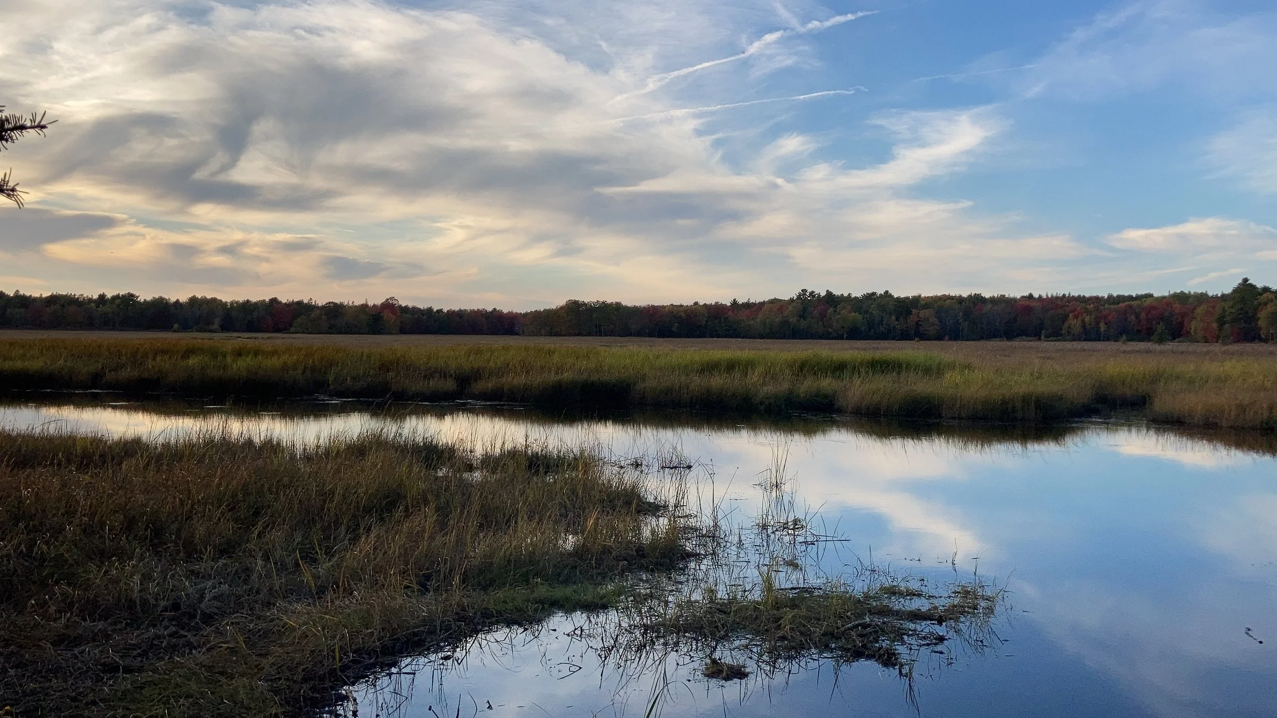 A serene marshland scene with calm water reflecting the sky and surrounding vegetation. The sky has scattered clouds, and there are trees in the background with some hints of fall foliage.