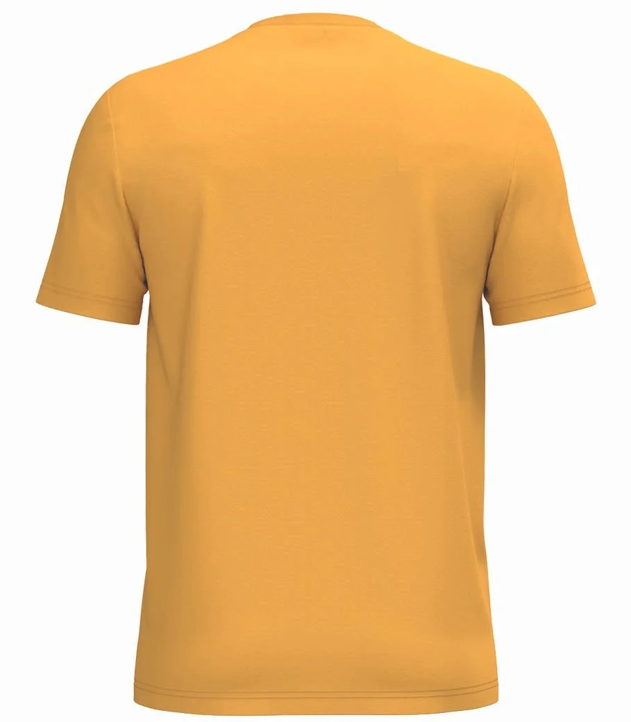 SUN YELLOW BK.jpg