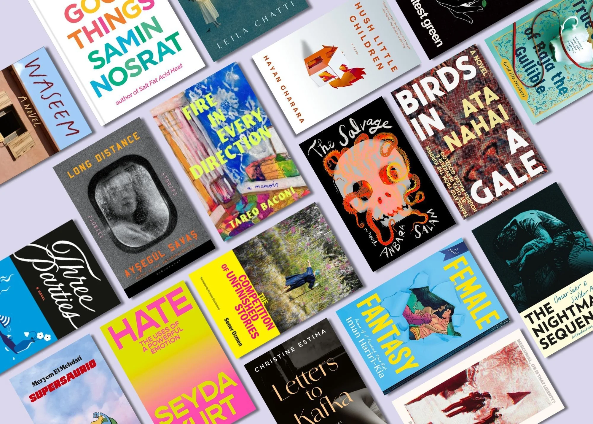 30 More SWANA Books in 2025: July-December Releases