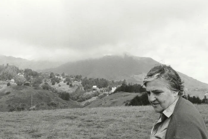On the Passing of Etel Adnan