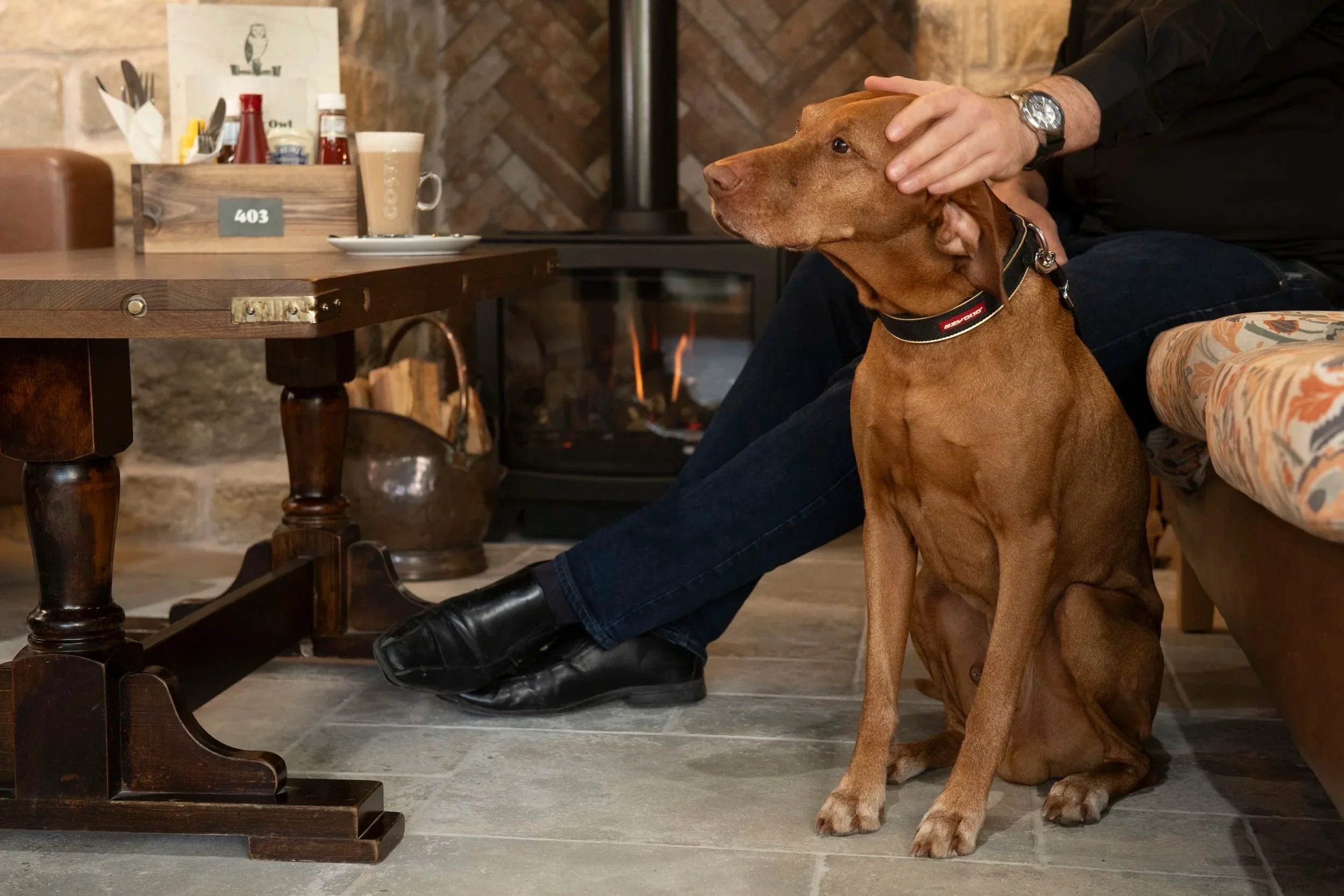 Red Visla sat by the side of his owner who's siting on a comfy couch, drinking a Costa coffee. Log burner in the background.