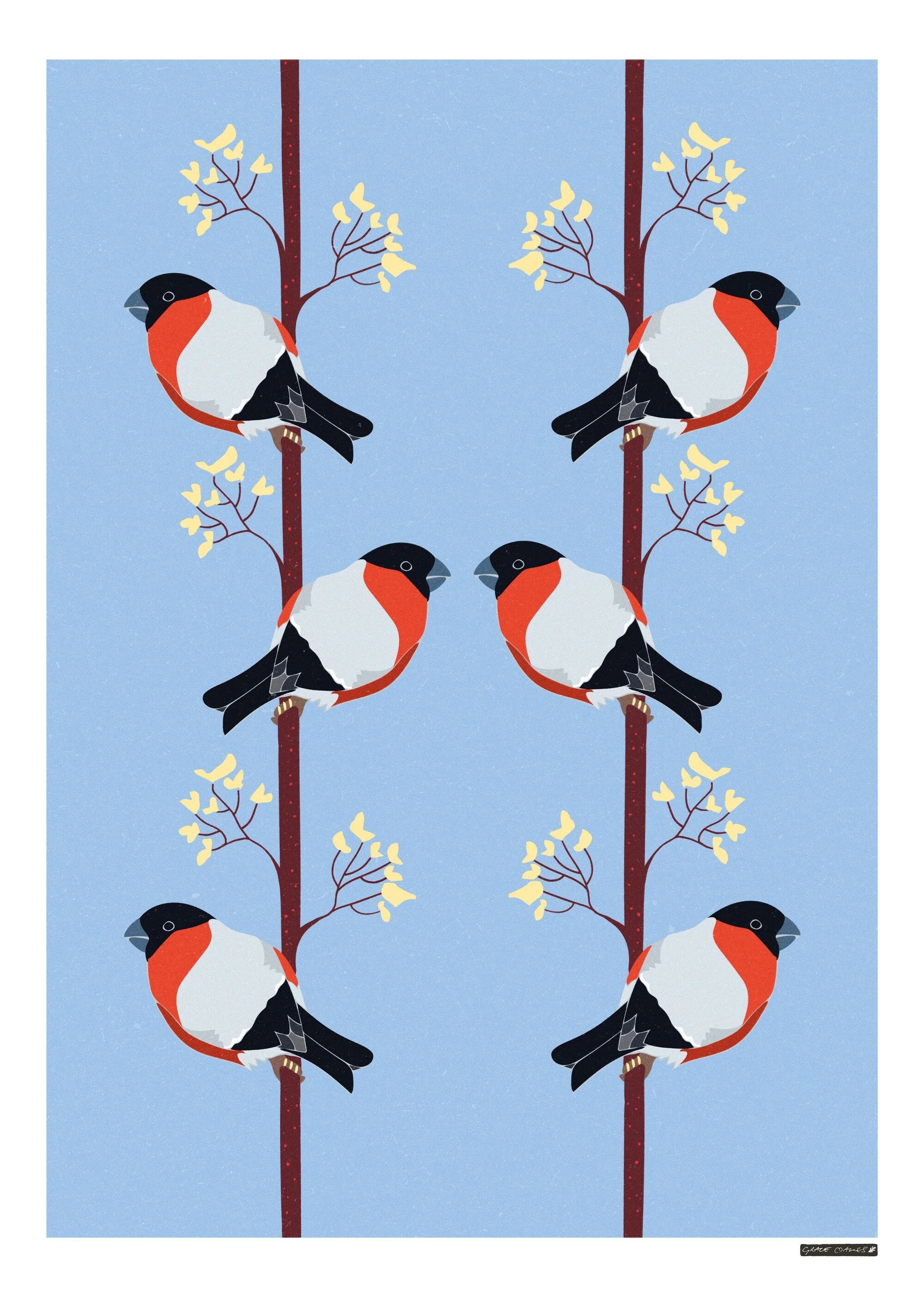 Large Print - Bullfinches
