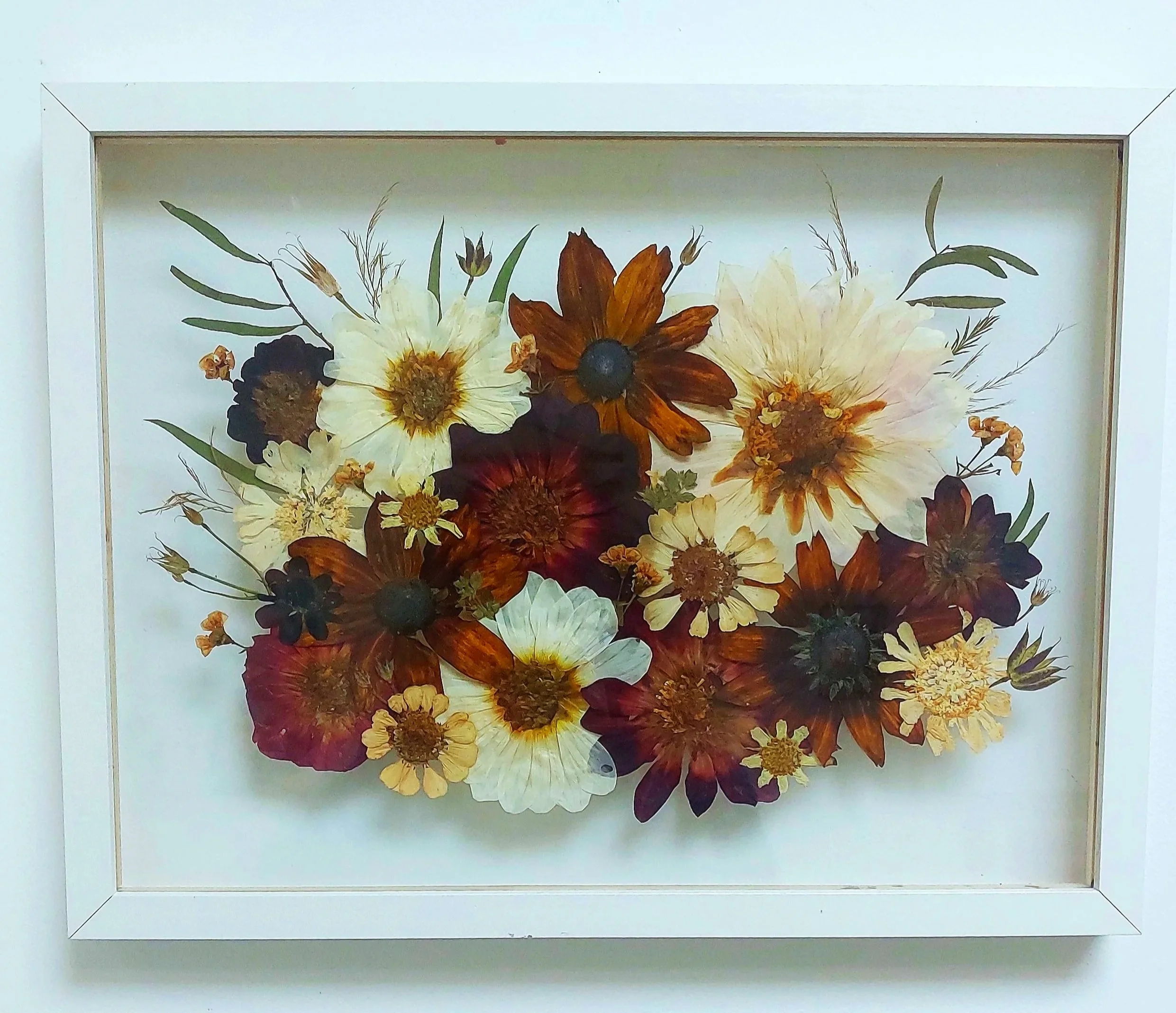 Pressed flowers arranged in a white frame display, including yellow, cream, red, and dark purple flowers with green leaves