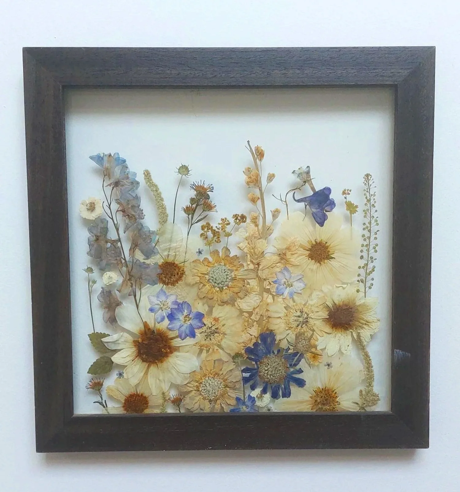 Pressed dried flowers in a shadow box frame