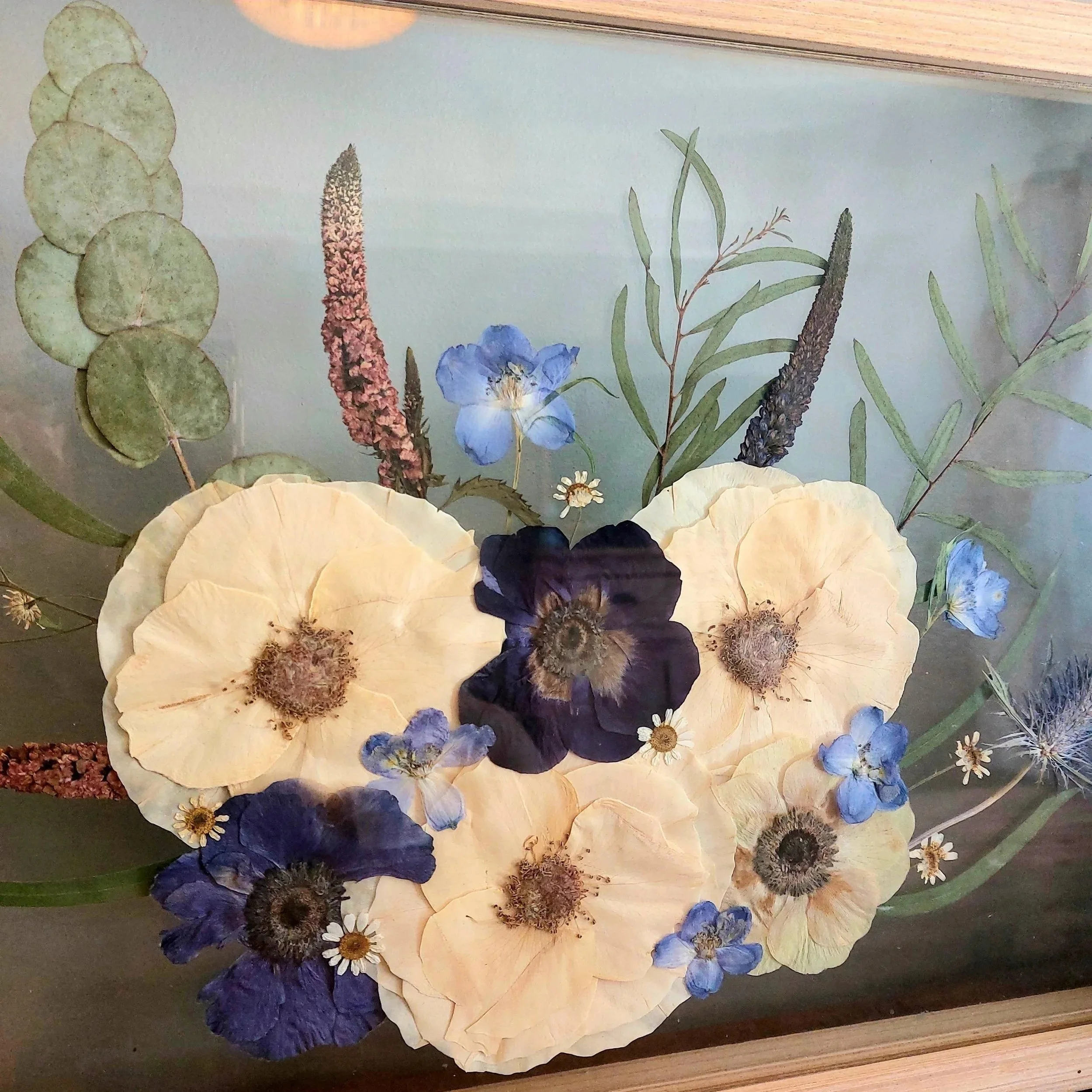 Dried floral arrangement with cream-colored poppies, blue and purple flowers, green leaves, and other dried plants behind glass.
