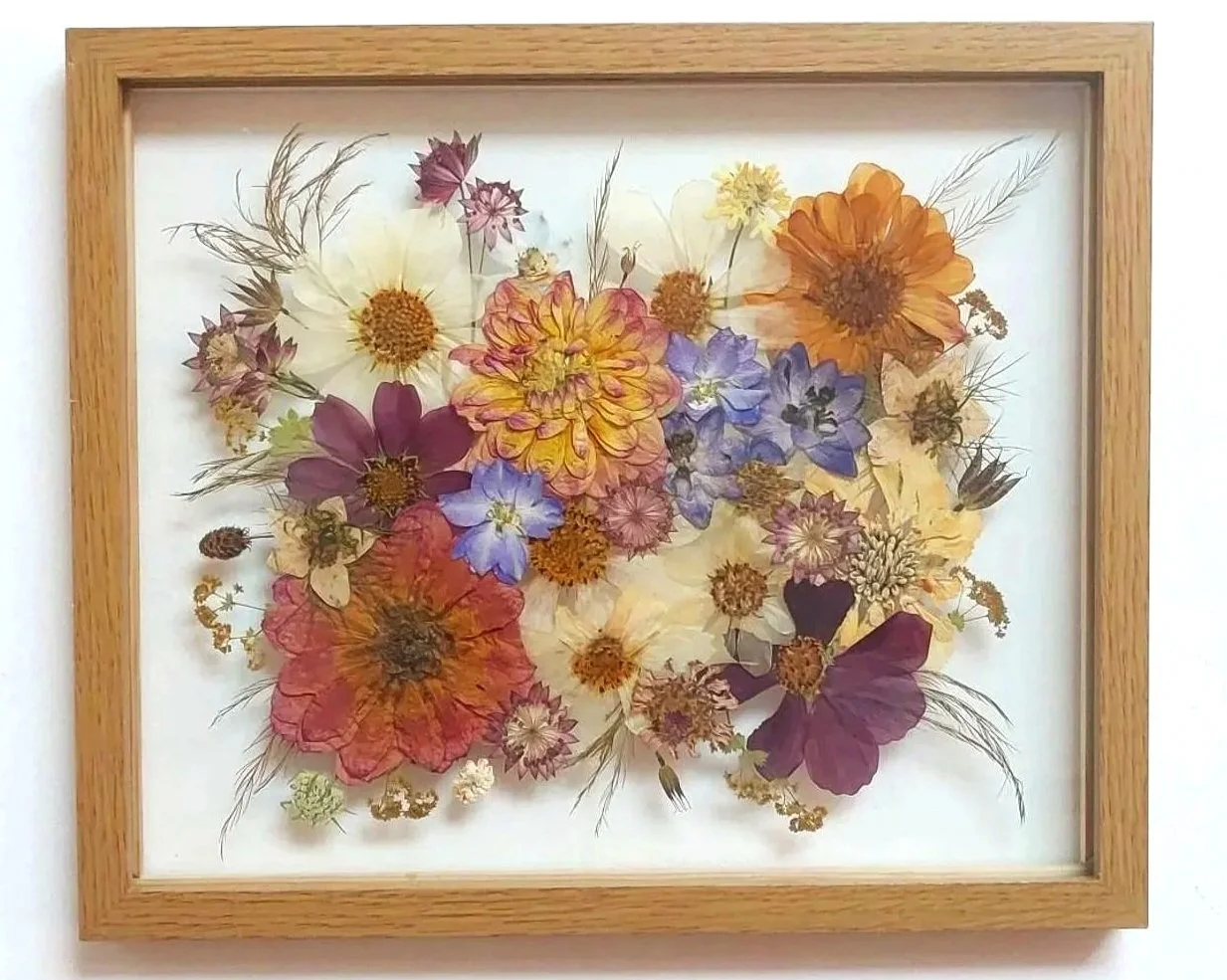 A framed display of colorful pressed flowers arranged on a white background.