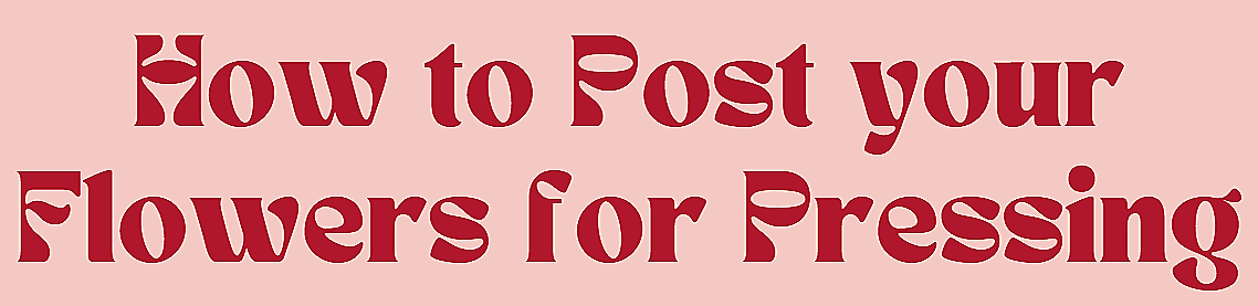 Text that reads, 'How to Post your Flowers for Pressing' in a stylized font with a light pink background.