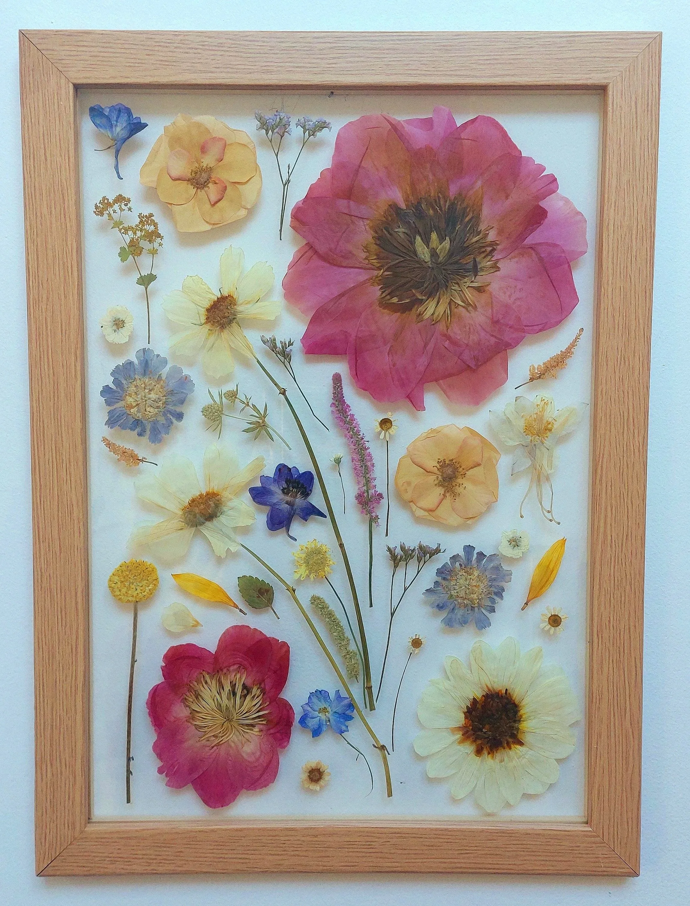 Framed display of pressed purple, yellow, blue, and pink flowers arranged on a white background.