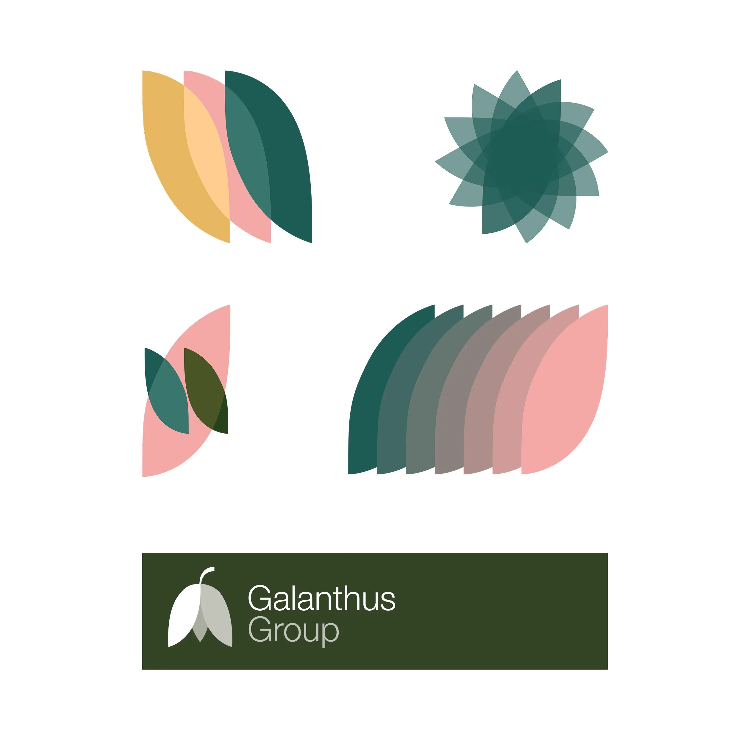 Galanthus group logo featuring stylized snowdrop flower and text.