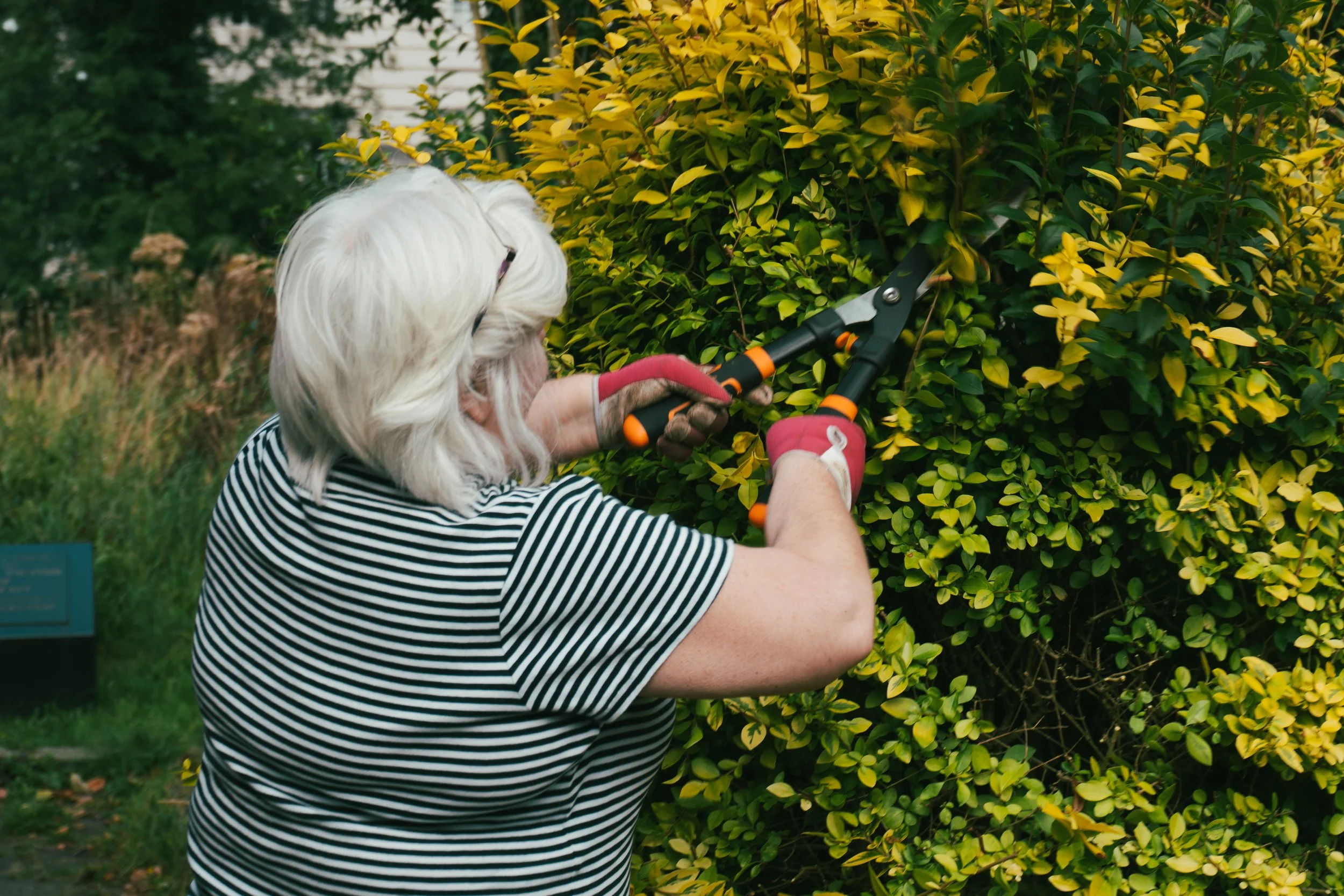 Community & Conservation Groups