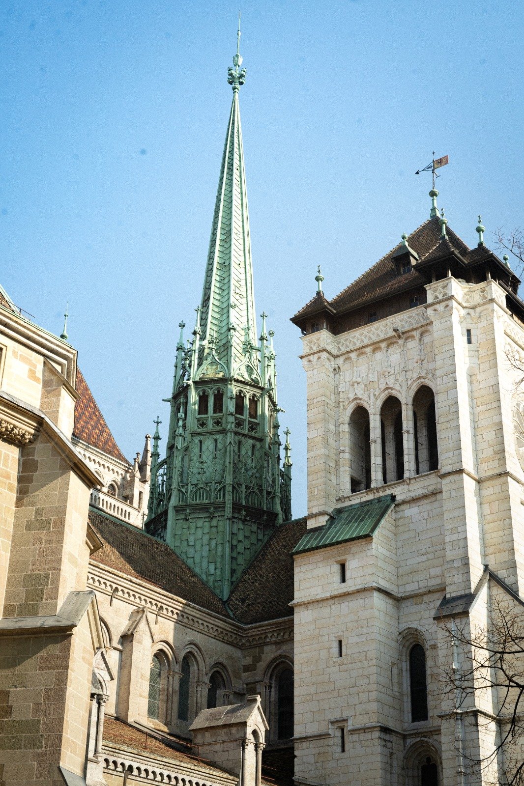 WhatsApp Image 2026-02-01 at 17.55.57 (6).jpeg