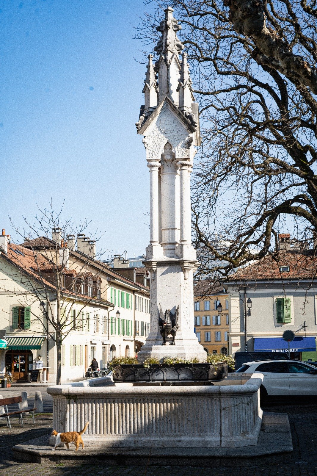 WhatsApp Image 2026-02-01 at 17.55.57 (29).jpeg