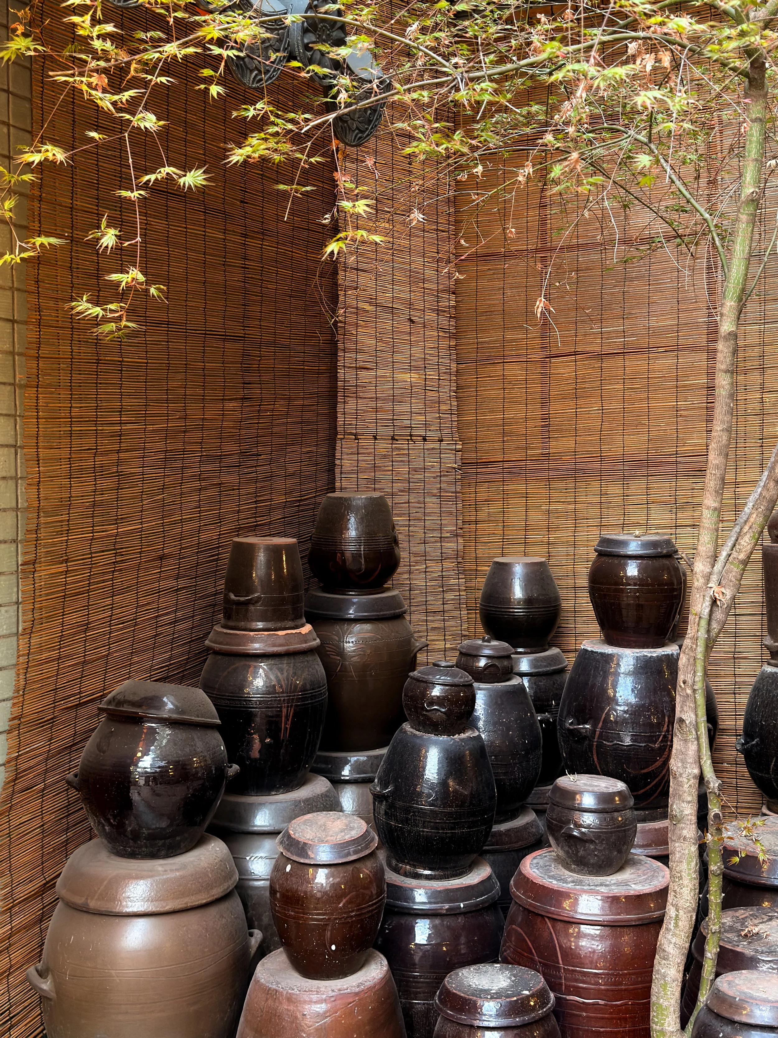 Various black and brown ceramic jars and pots stacked in an outdoor garden area with bamboo fencing and a small tree.