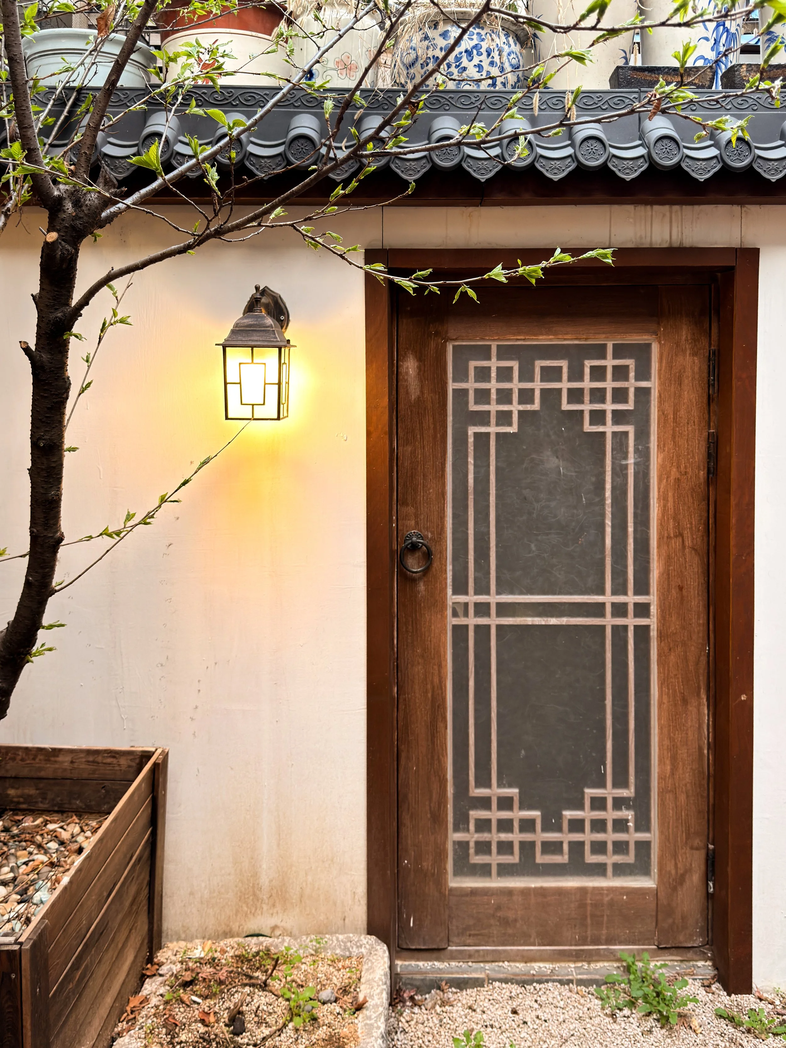 A wooden door with a decorative glass panel, mounted with a black ring door knocker, set into a white wall illuminated by a yellow outdoor wall lantern. To the left, there's a small tree with budding green leaves and a raised wooden planter filled wi