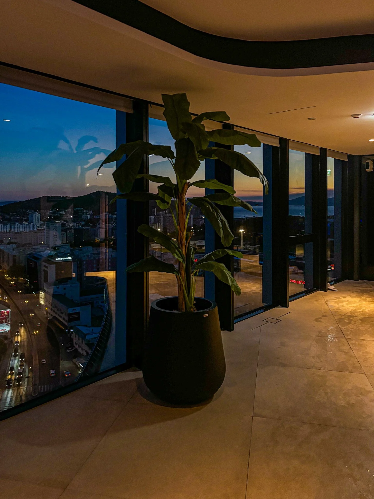Indoor scene with large potted plant near floor-to-ceiling windows showing cityscape and sunset sky.