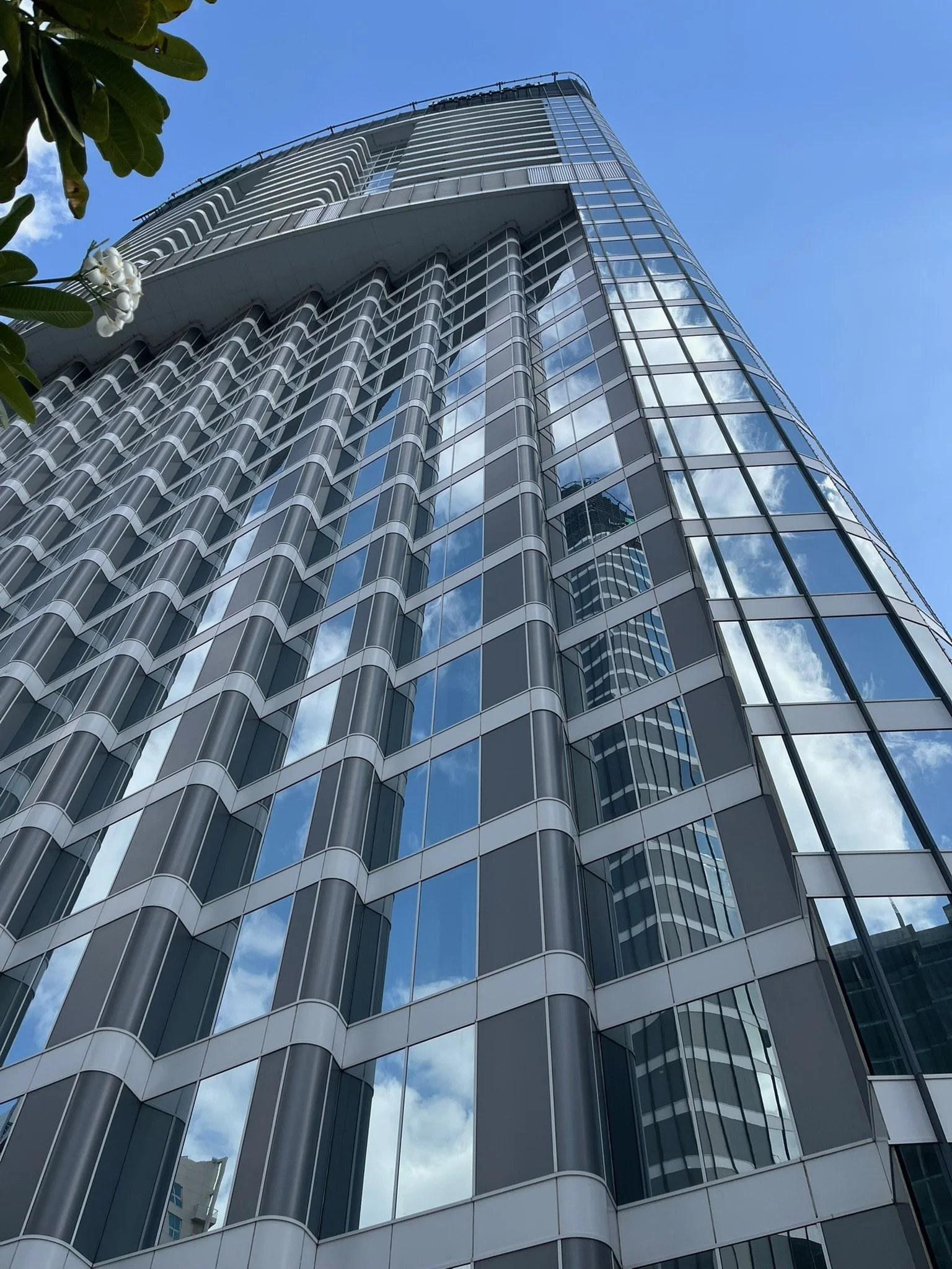 Low-angle view of a modern glass skyscraper reflecting the blue sky and clouds, with green leaves in the top left corner.