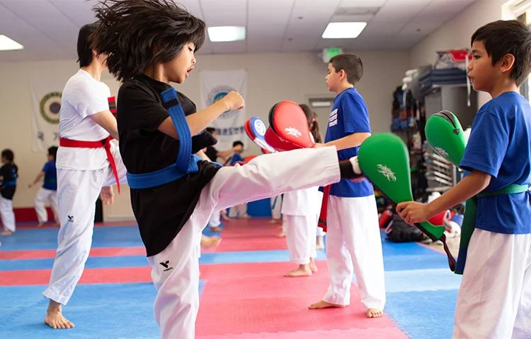 Evolution Martial Arts Academy