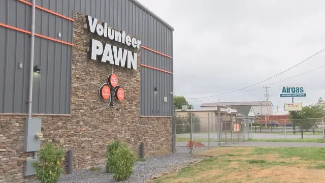 Volunteer Pawn