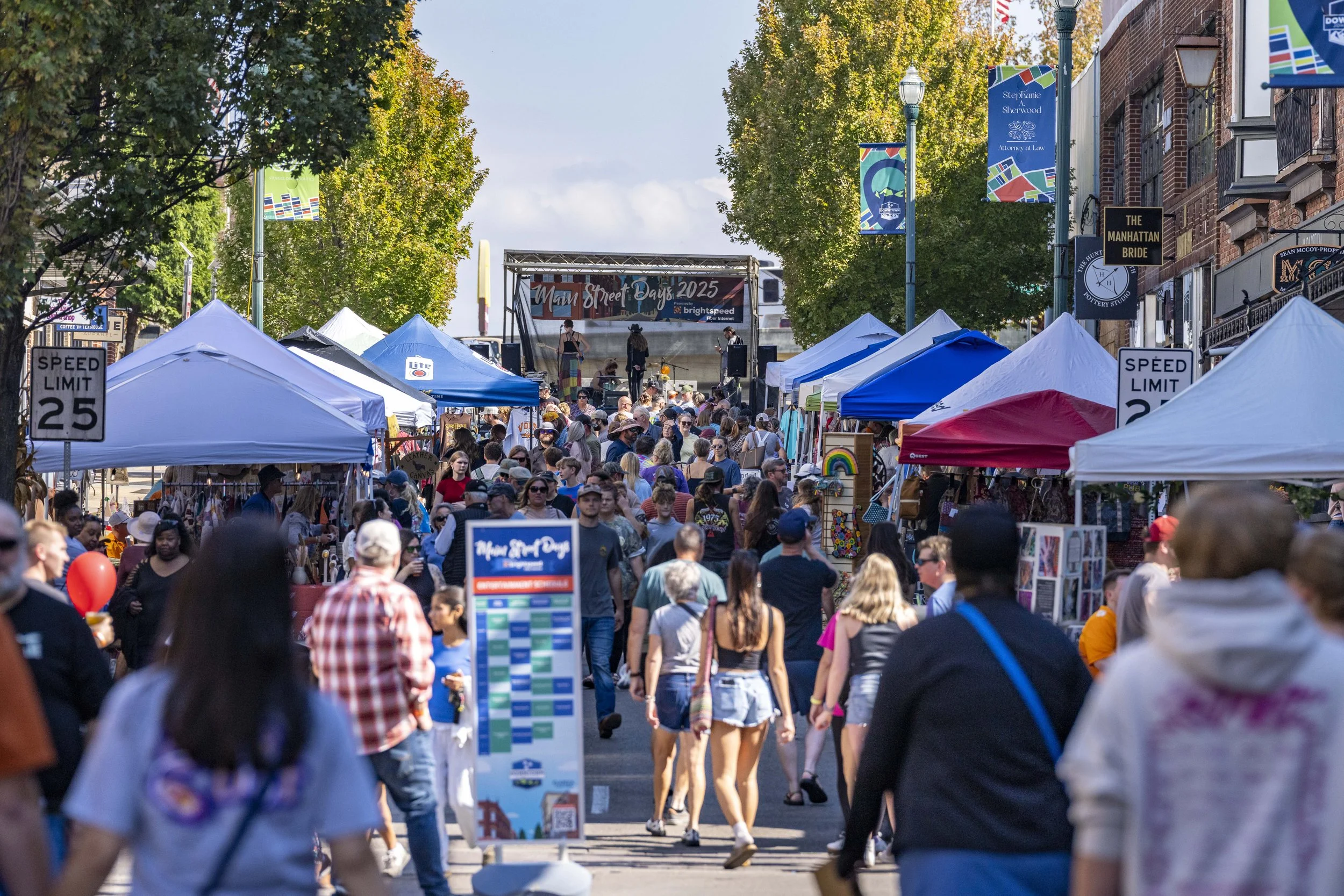 Crowd of people walking through an outdoor street festival with vendors on both sides and a stage in the background, under a partly cloudy sky.
