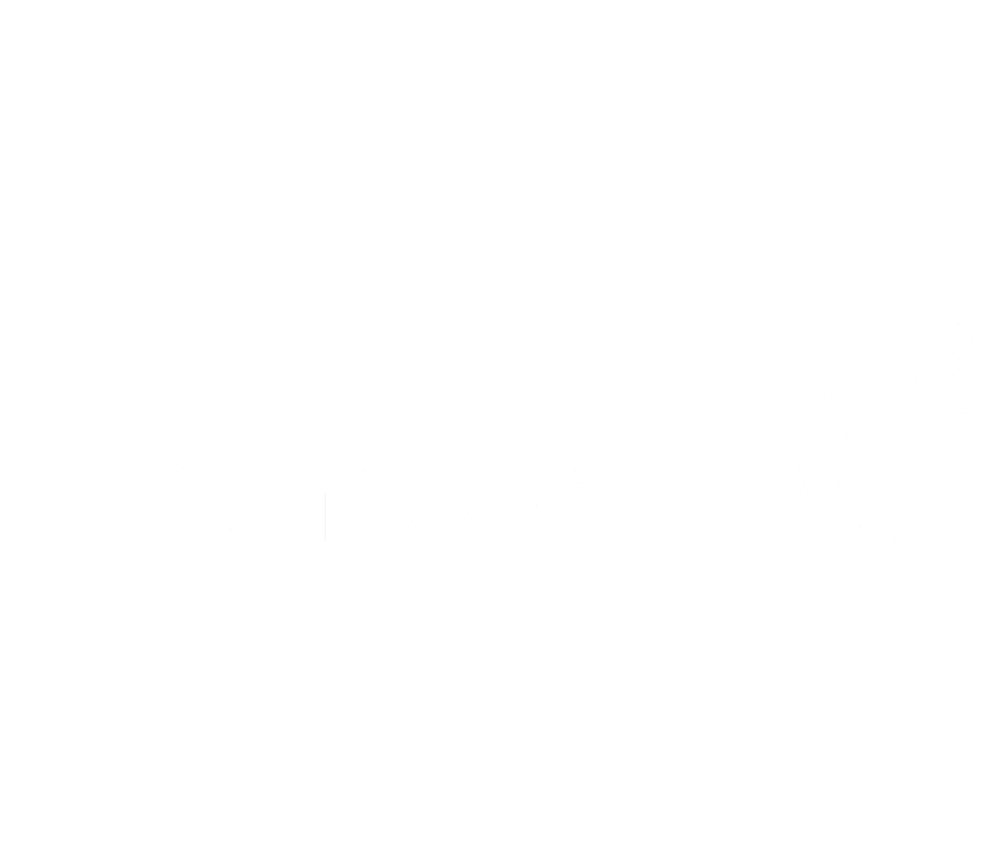 TransUnion logo in black and white with the company name and a circular emblem containing the letters 'tu'.