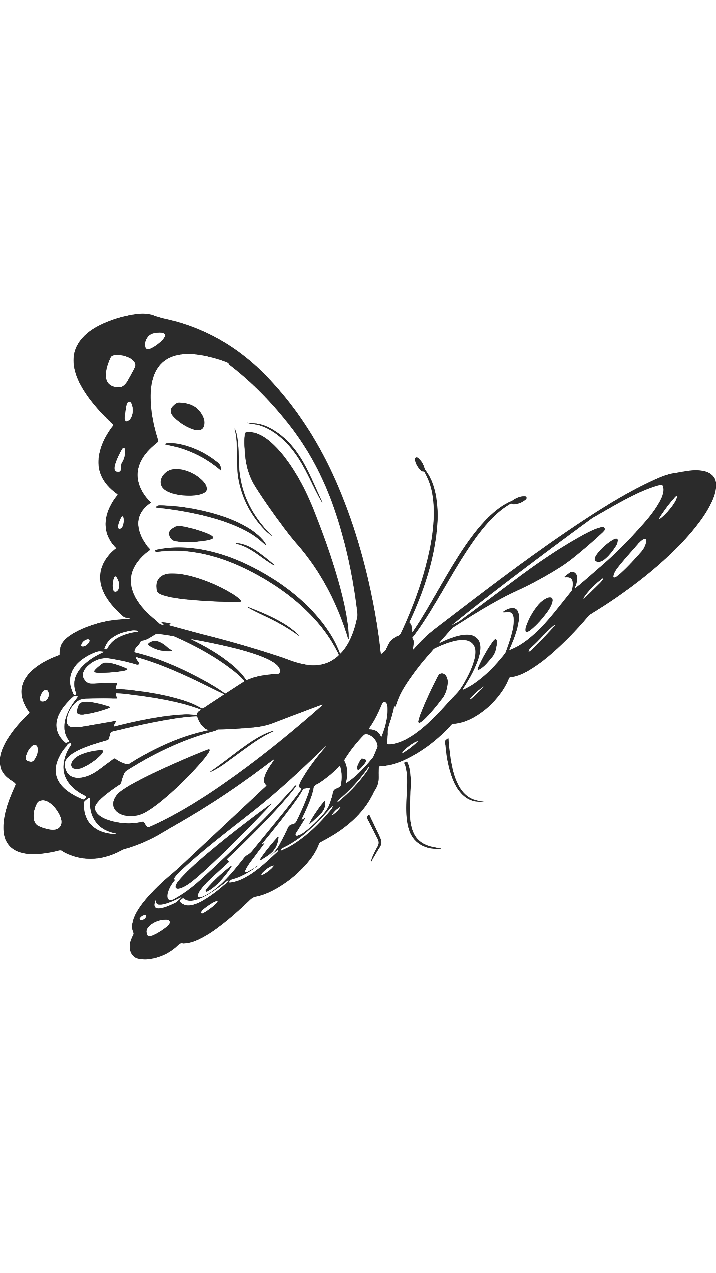 Silhouette of a butterfly with detailed wings on a black background.
