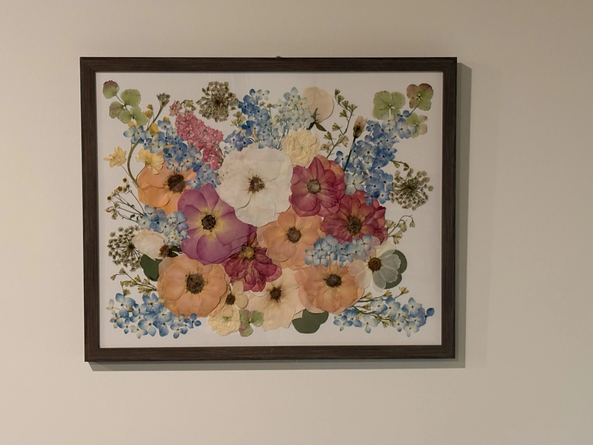 Black-framed lightbox displaying preserved pressed flowers and foliage on a white background.