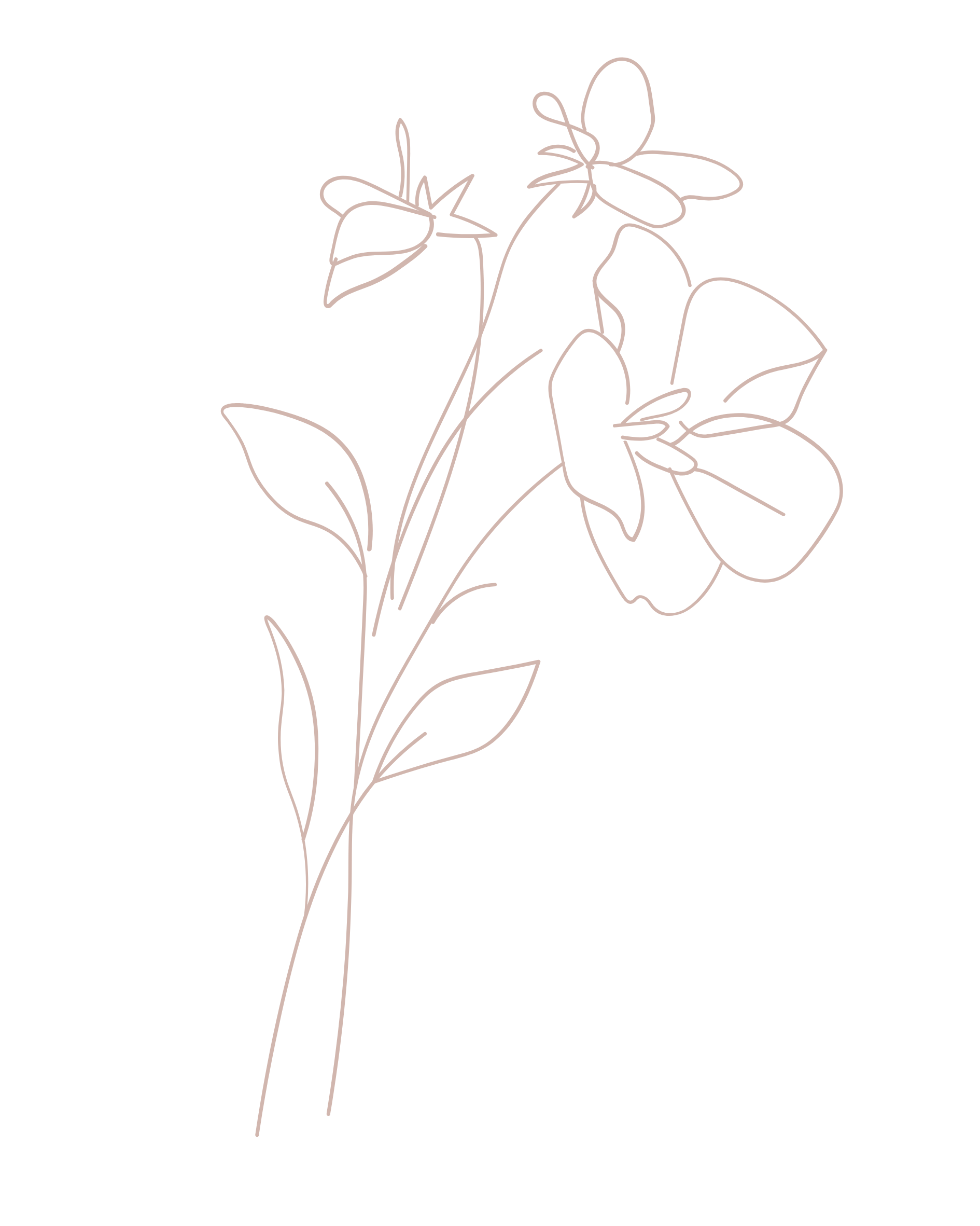 A minimalistic line drawing of a bouquet of flowers on a black background.