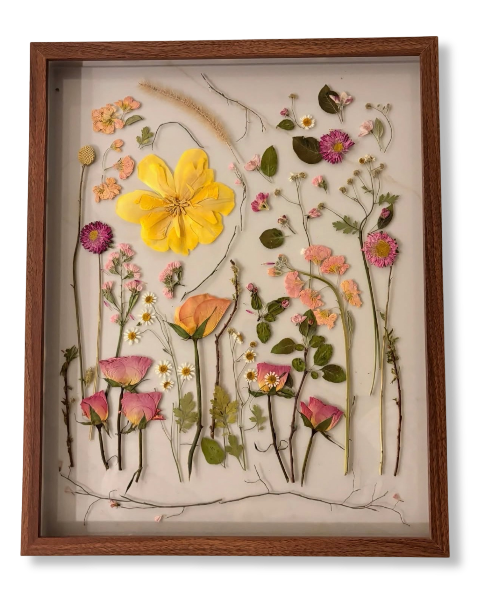 A shadow box frame containing pressed and dried flowers and leaves arranged on a white background.