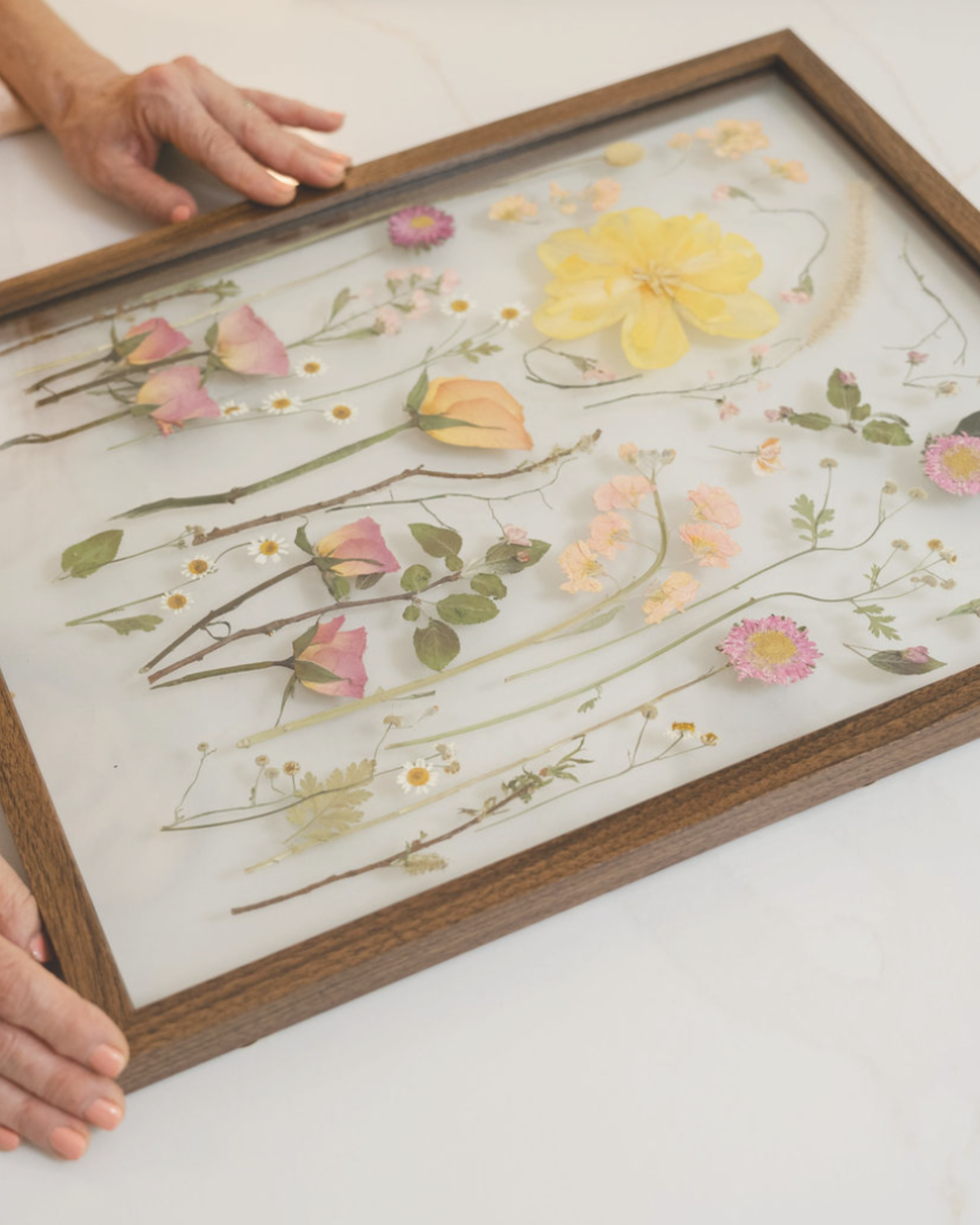 Close-up of a person's hands holding a wooden frame containing pressed and dried flowers arranged artistically on a transparent background.