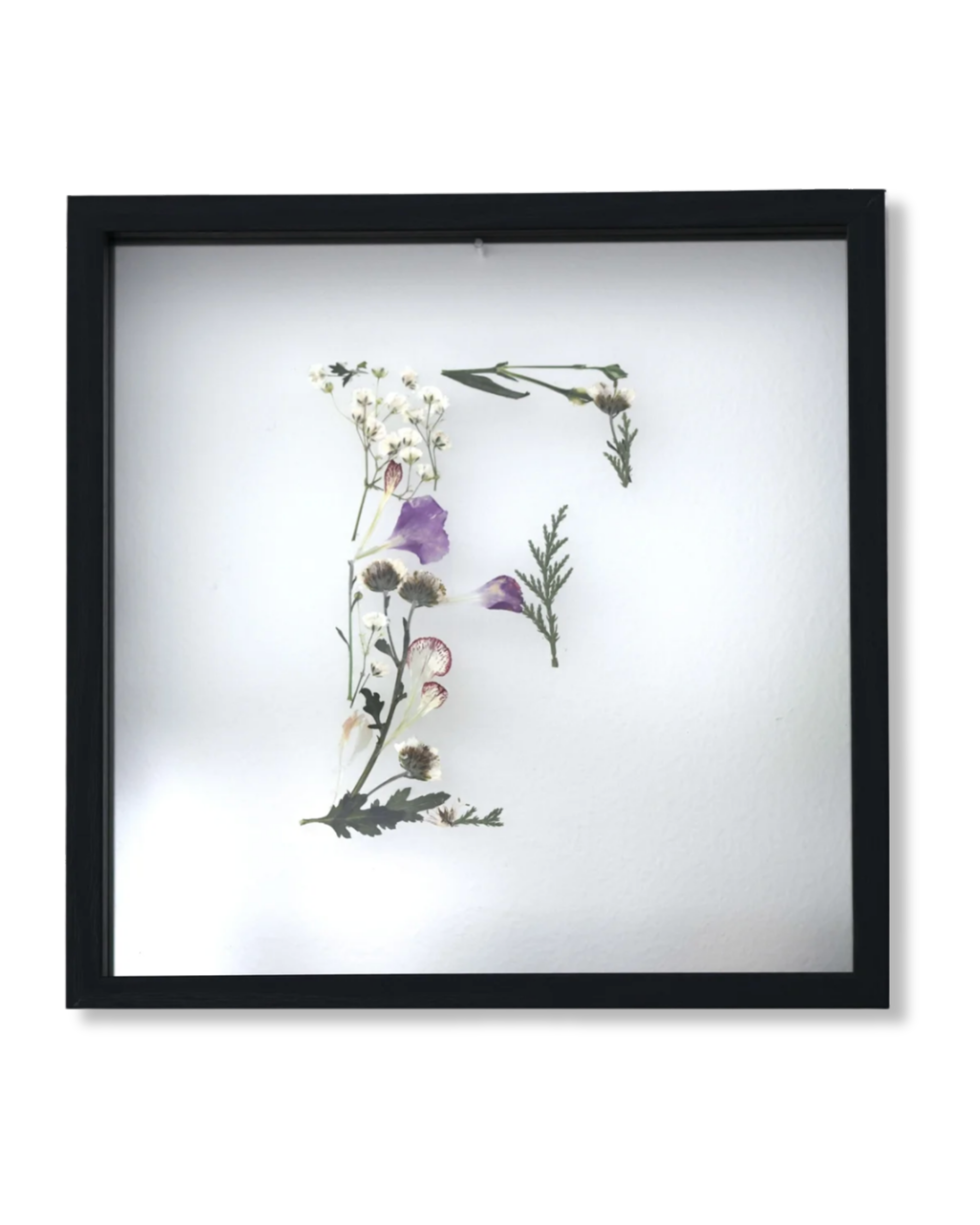 Framed botanical print with pressed flowers and leaves against a white background.