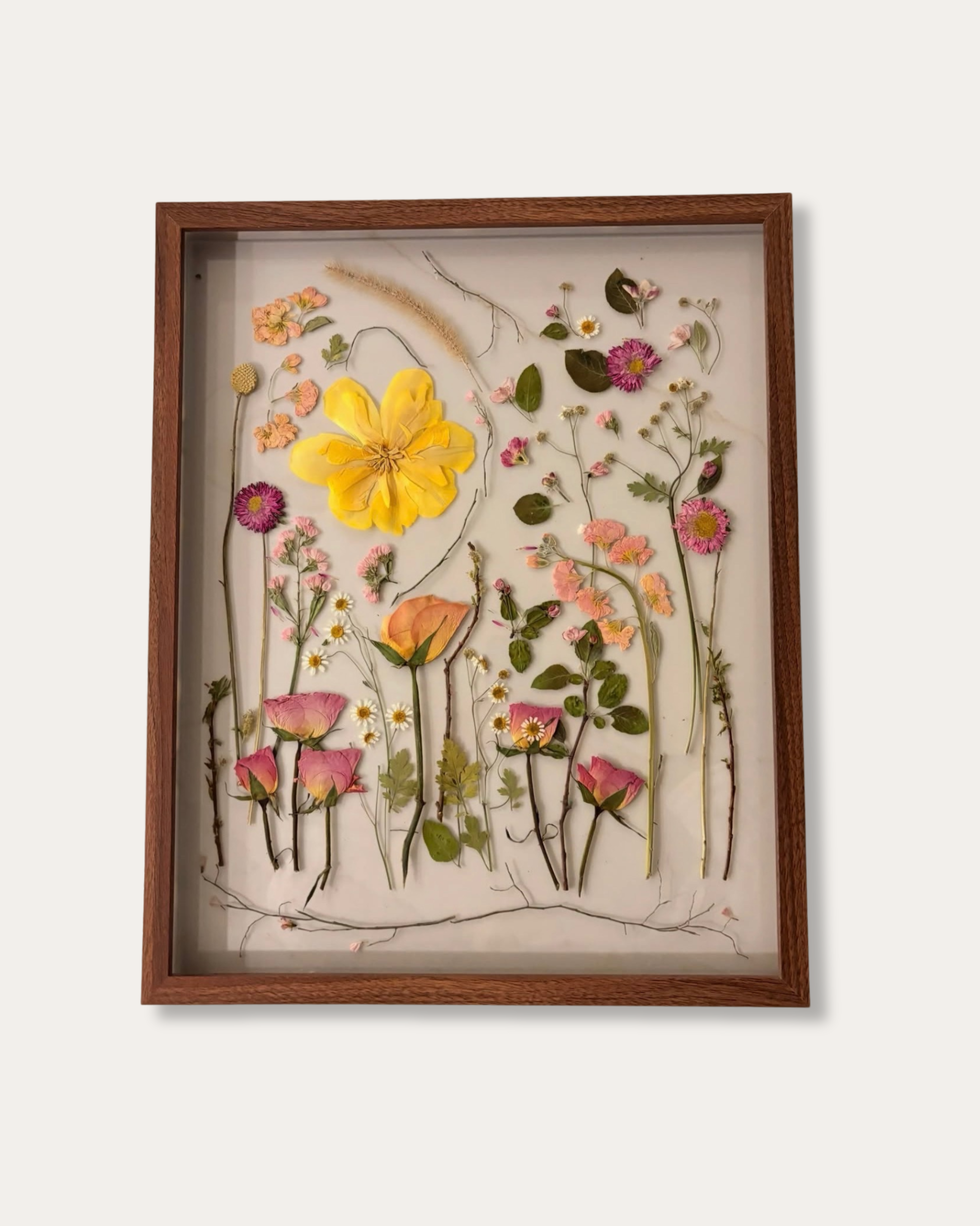 Framed display of pressed and dried wildflowers and foliage on a white background.