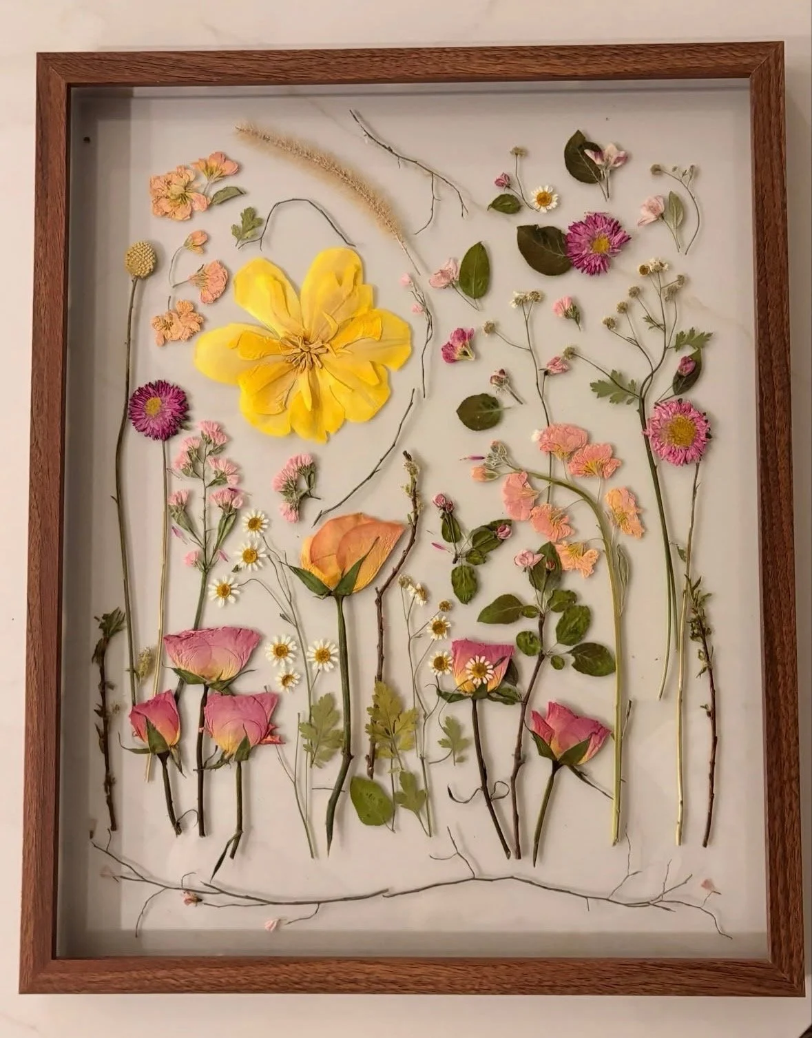 Shadow box frame displaying pressed and dried flowers of various colors and species, arranged artistically.