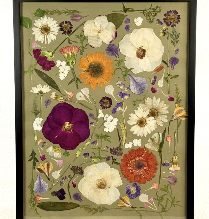 A framed display of pressed and dried flowers of various types and colors arranged on a beige background.