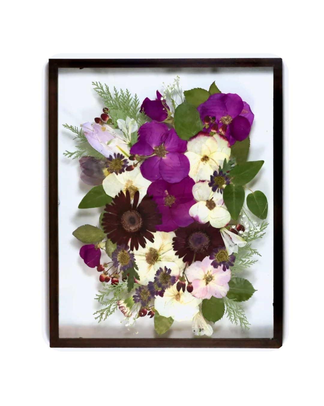 Framed display of pressed flowers in shades of purple, white, cream, and dark brown, with green leaves and sprigs.