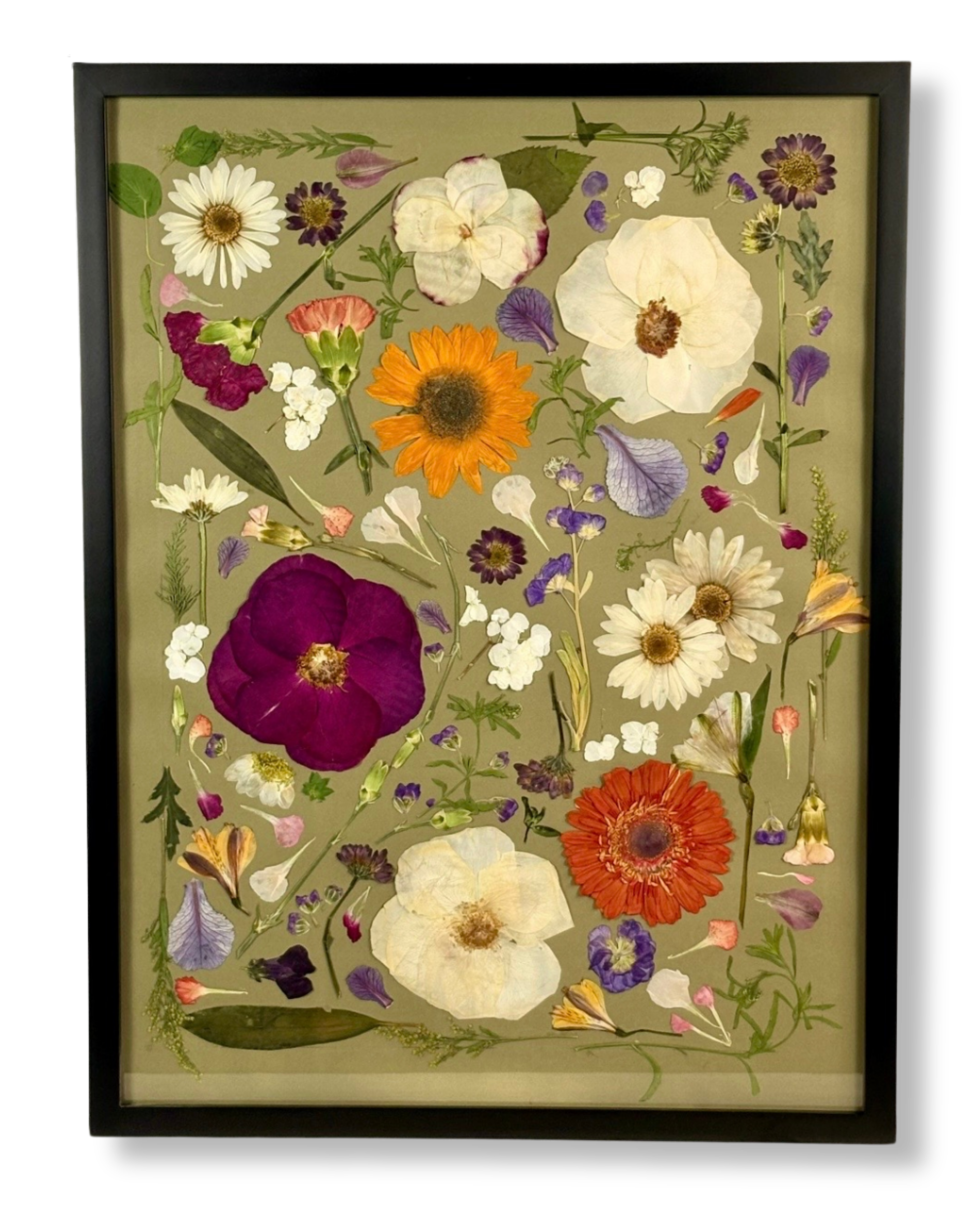 Framed artwork of pressed flowers including daisies, poppies, violets, and other colorful spring blooms on a light background.