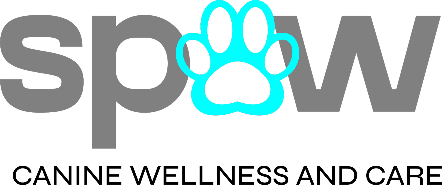 Canine Wellness and Care