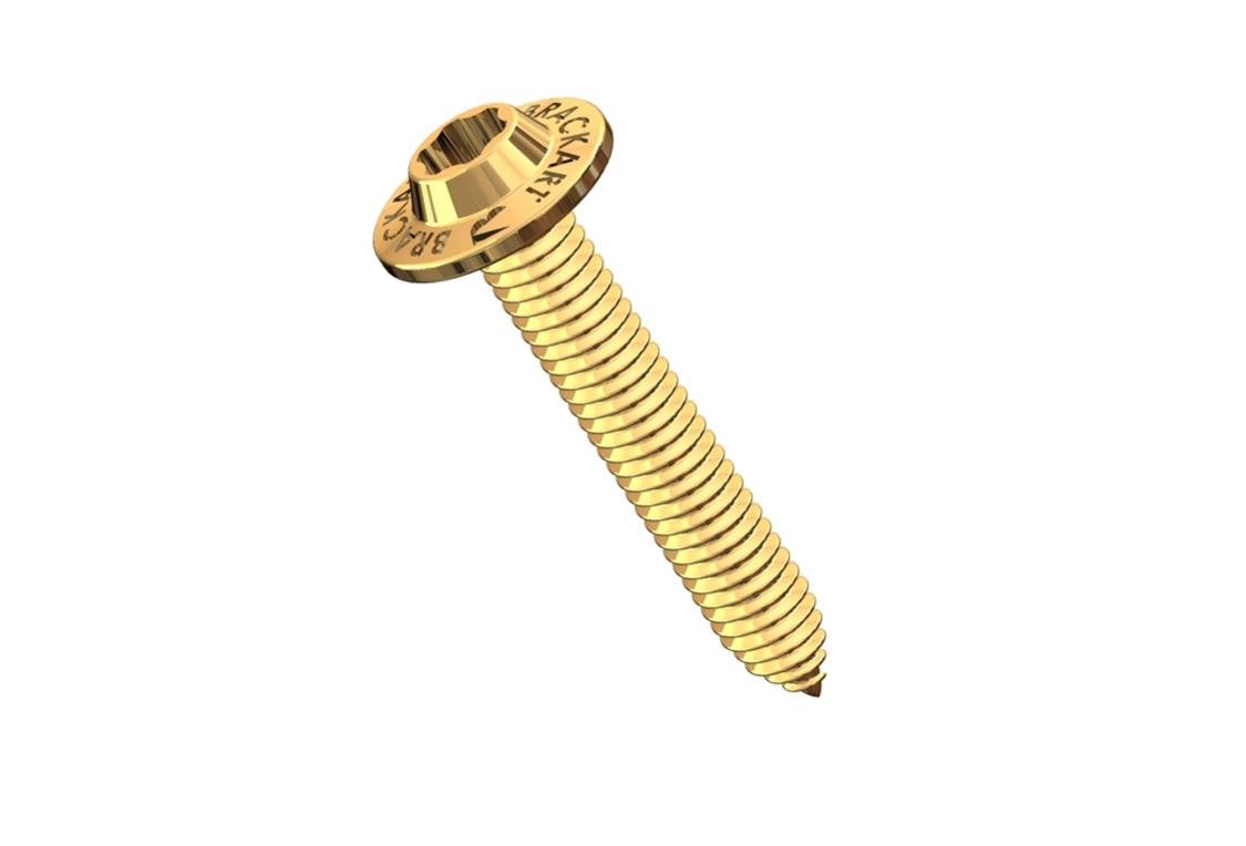 Brackart Screw