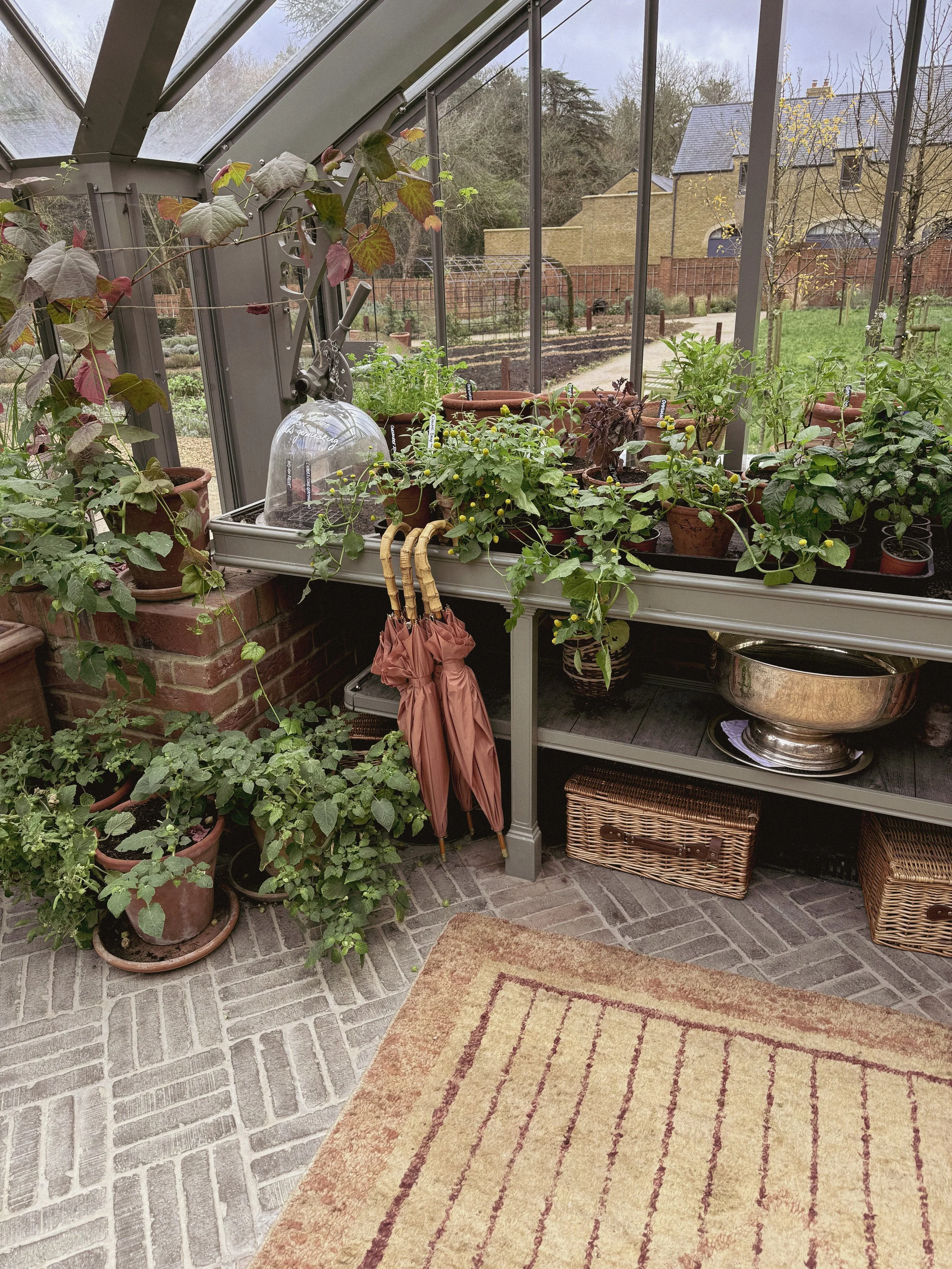 A cozy indoor garden space with potted plants on a shelf inside a glass greenhouse, overlooking a backyard with trees, a lawn, a fence, and a house in the background.