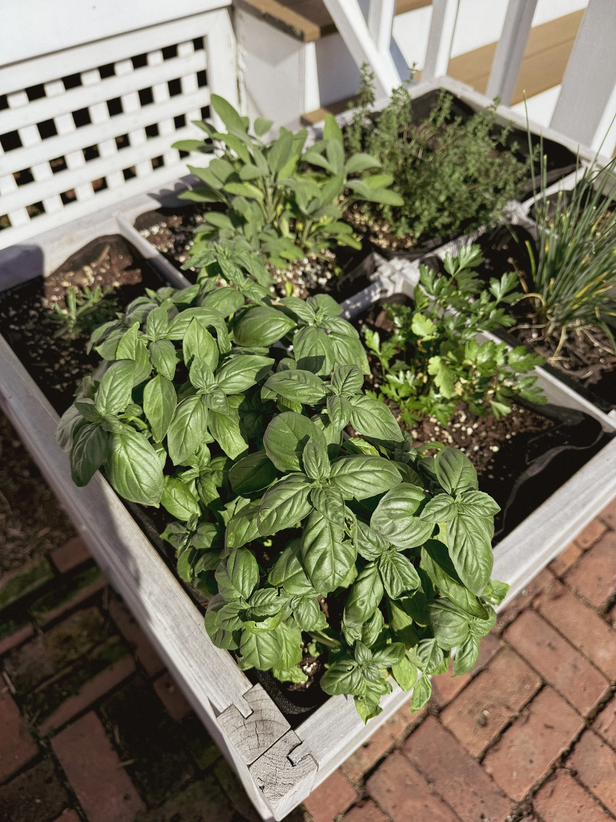 A white wooden planter box with various green herbs and plants growing inside, placed on a brick patio.