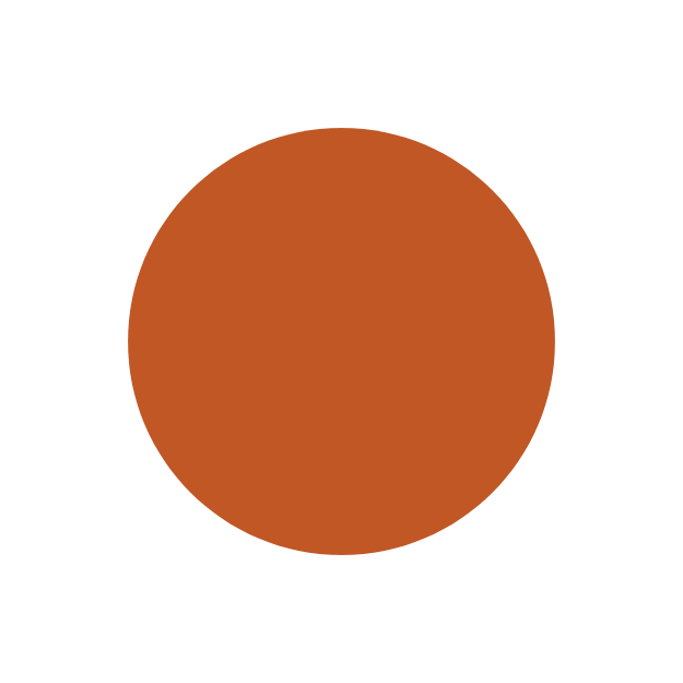 A simple drawing of a brown circle on a white background.