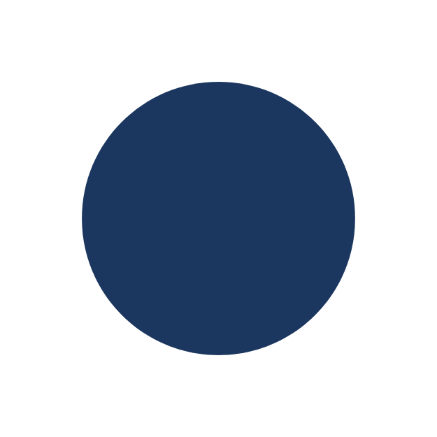 A dark blue circle centered on a white background.
