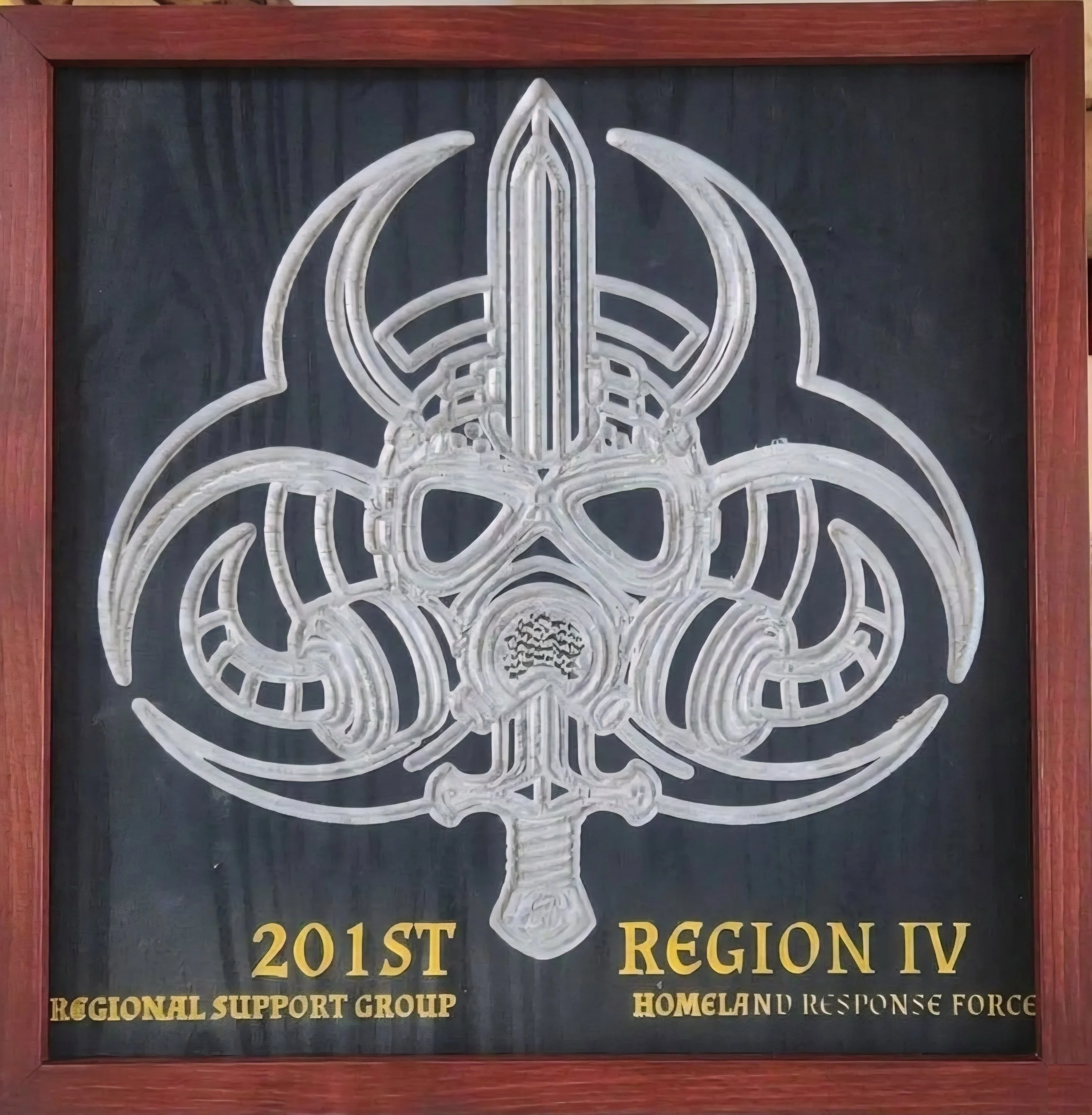 Framed unit crest: carved and hand-painted 201st RSG / Region IV HRF insignia in a red-stained hardwood frame.
