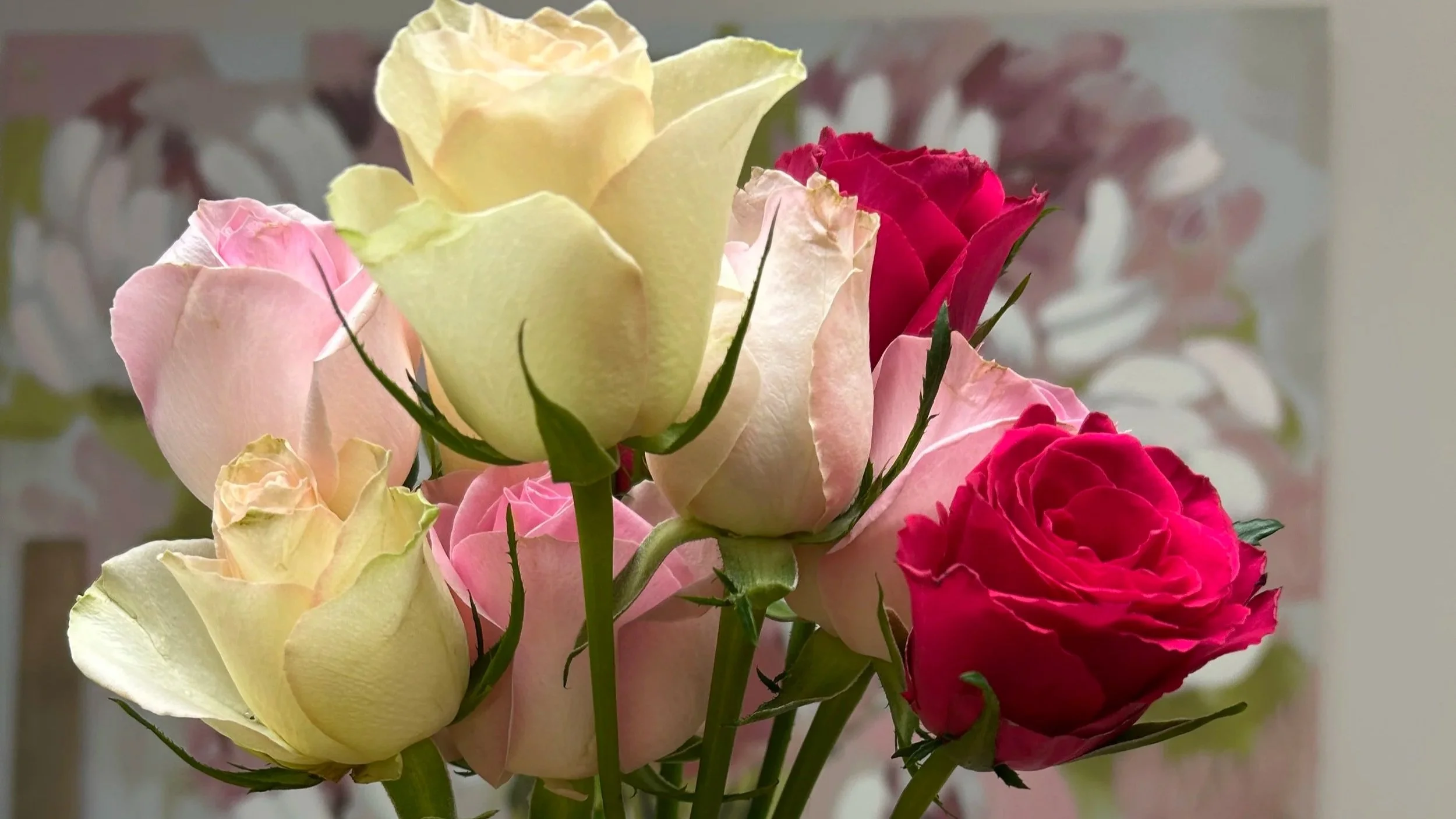 Beautiful Readings and Poems for a Funeral