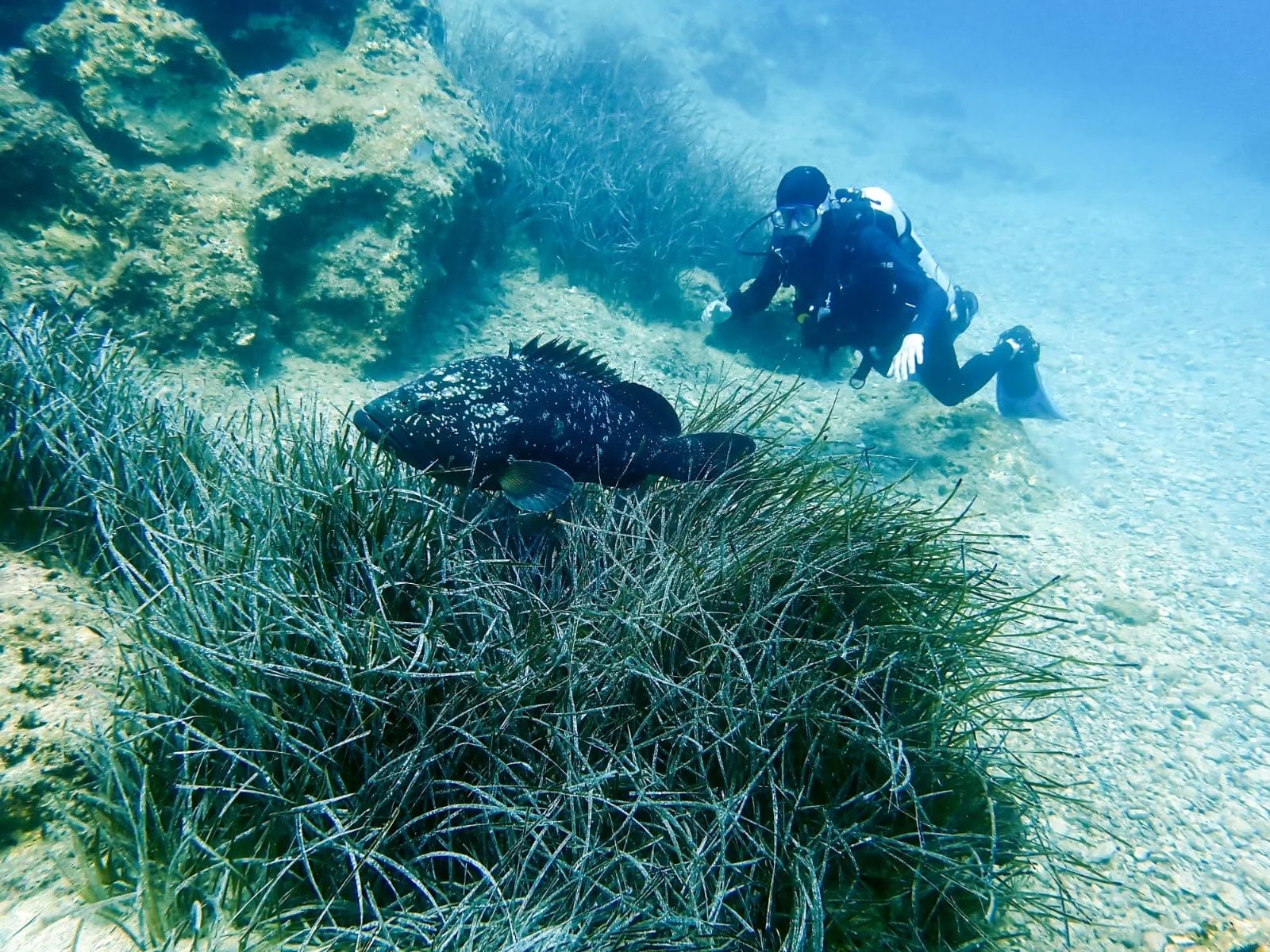 Scuba diving in Zakynthos with Eurodivers Zante
