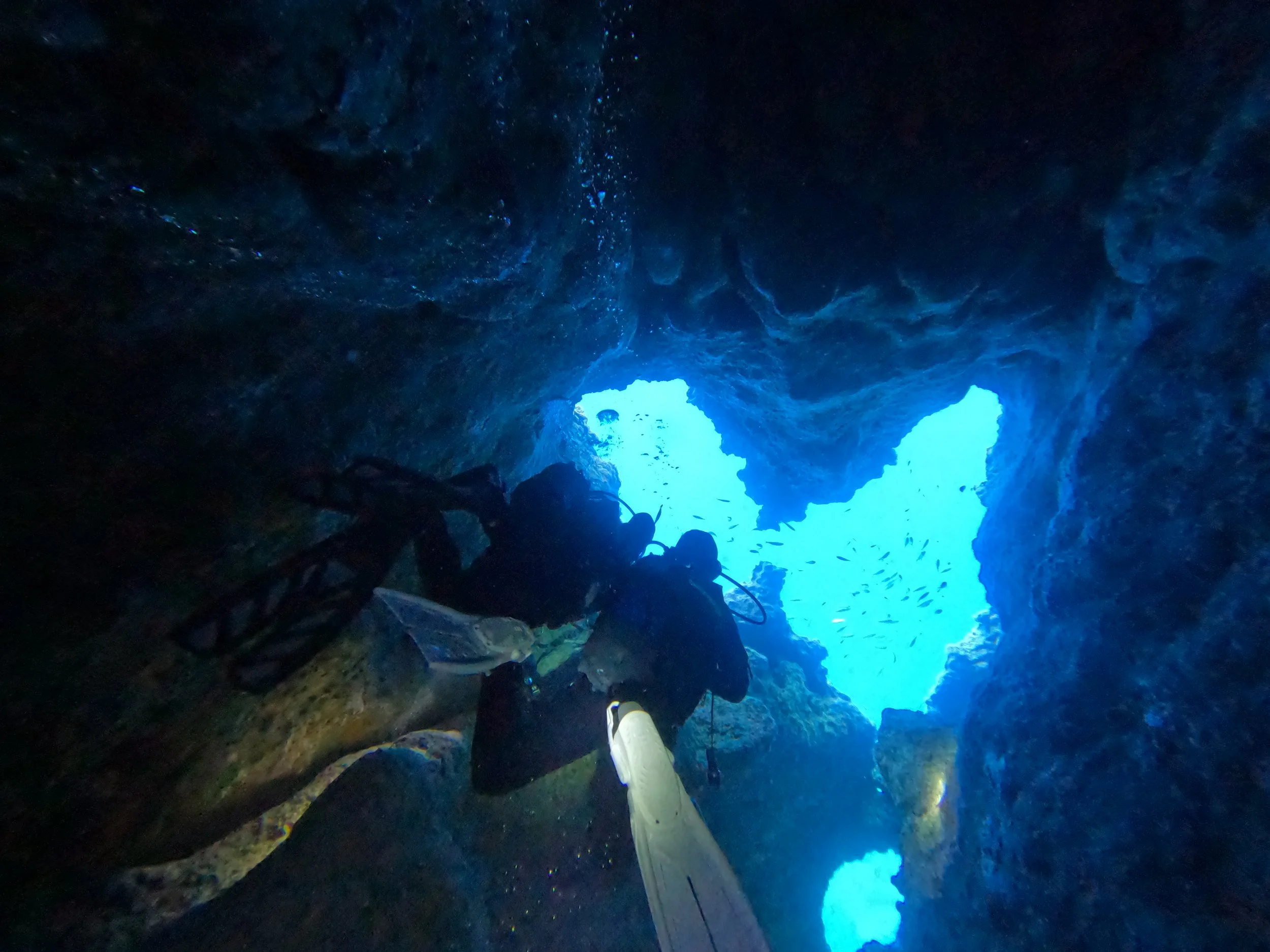 Scuba diving with Eurodivers Zante at one of the best dive site in Zakynthos, called the Butterfly Cave.