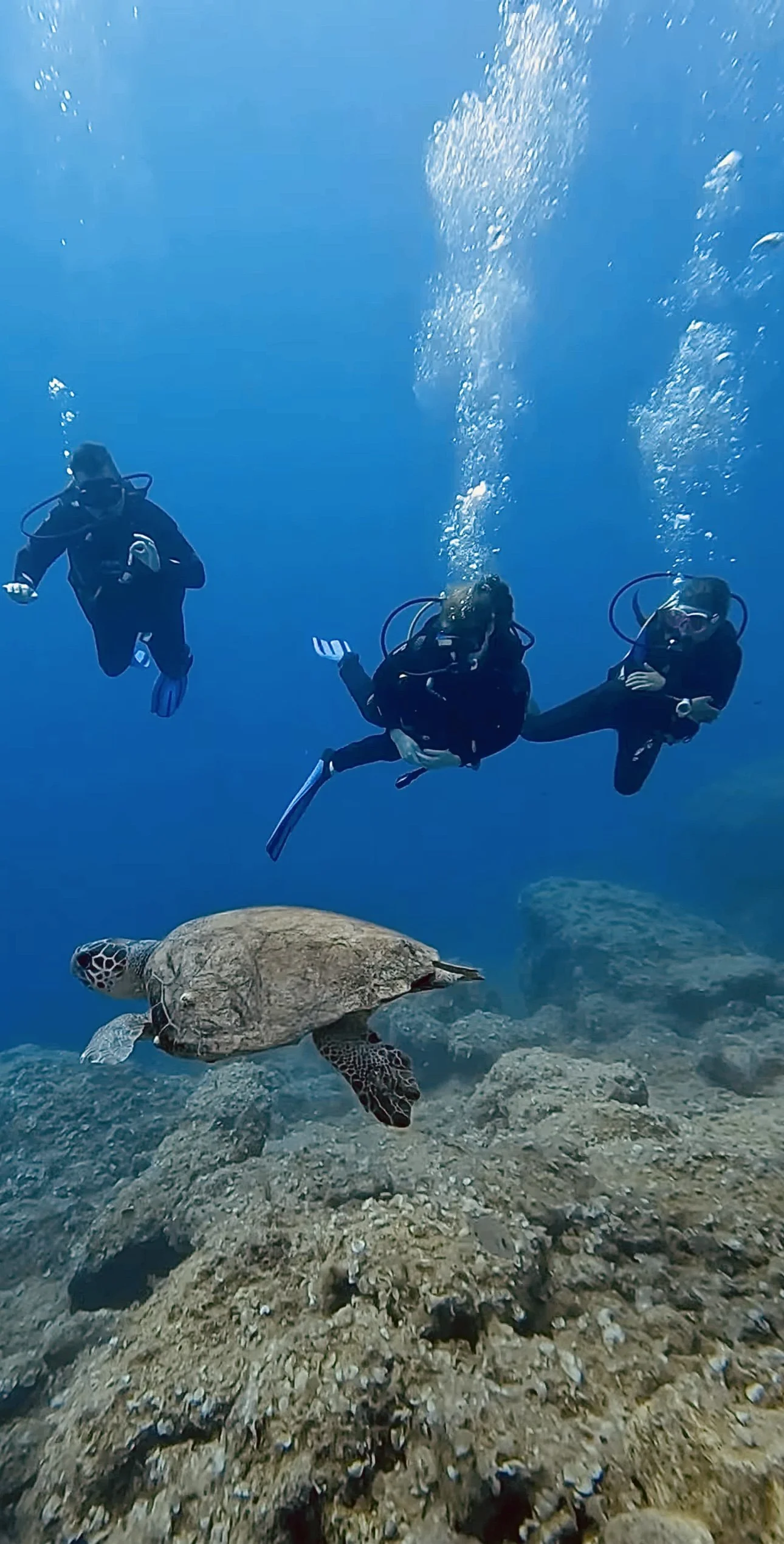 Three scuba divers swimming underwater near a sea turtle and coral reef with Eurodivers Zante